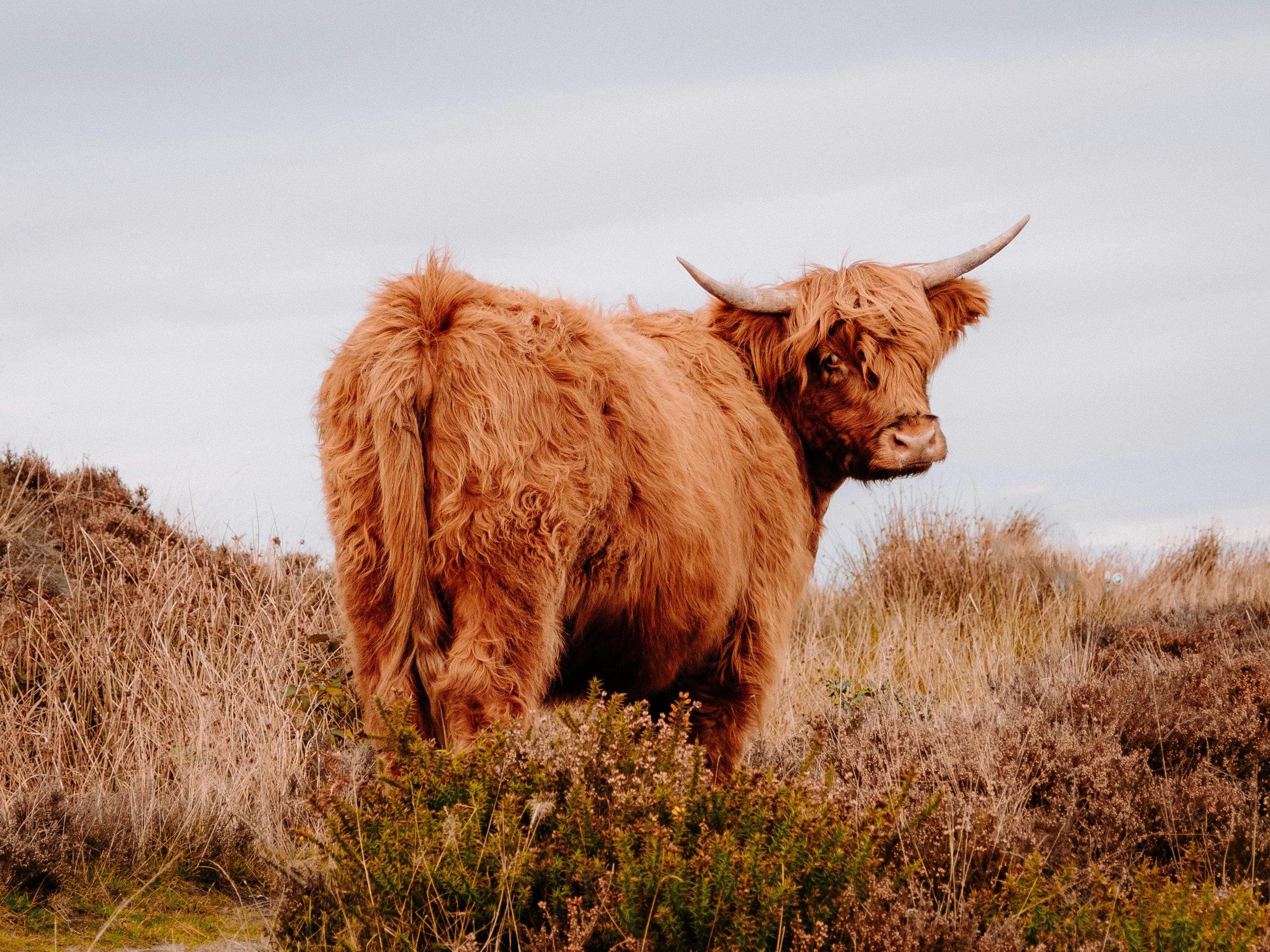 Photo by bengrayland