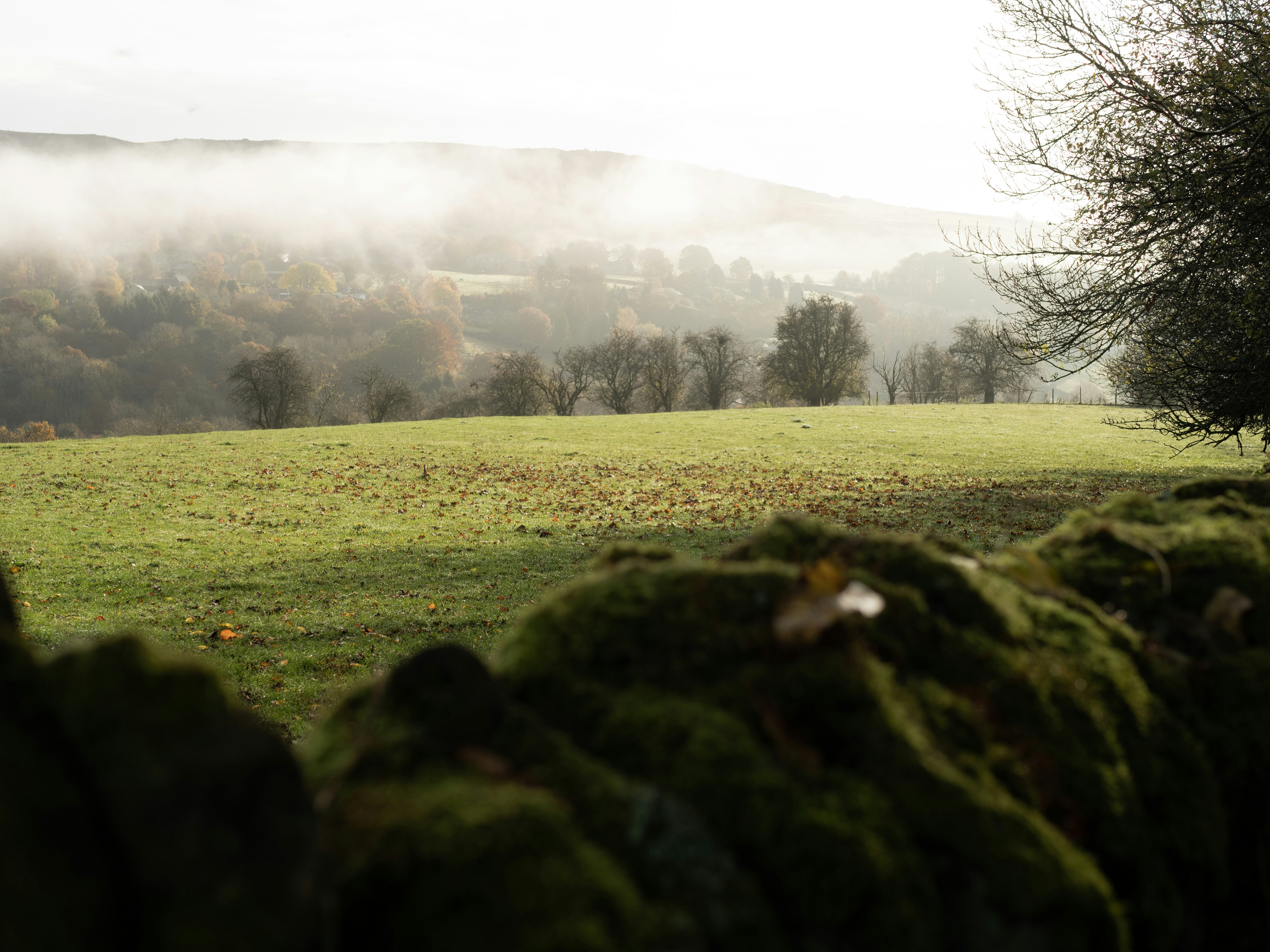 Photo by bengrayland