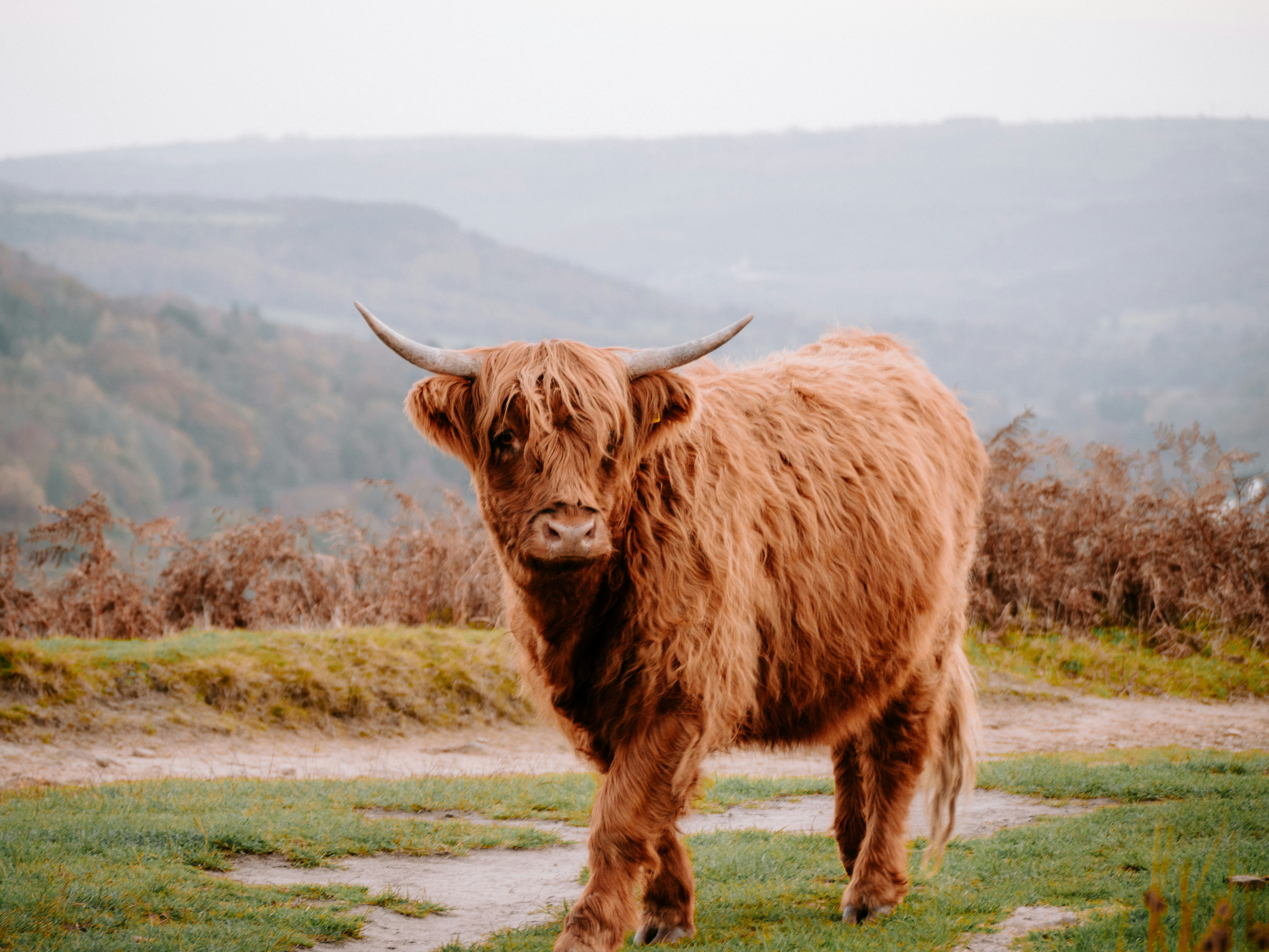 Photo by bengrayland