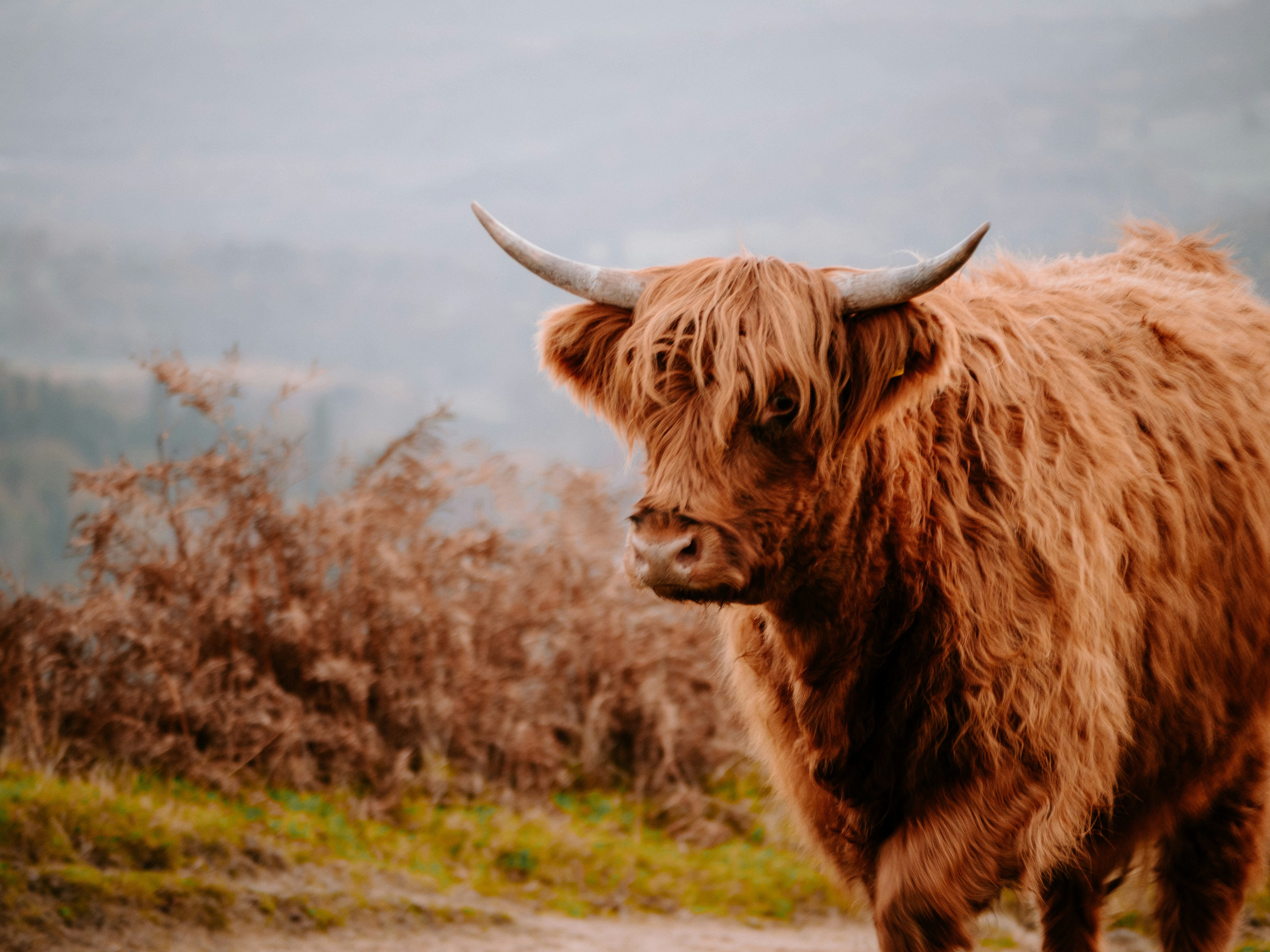 Photo by bengrayland