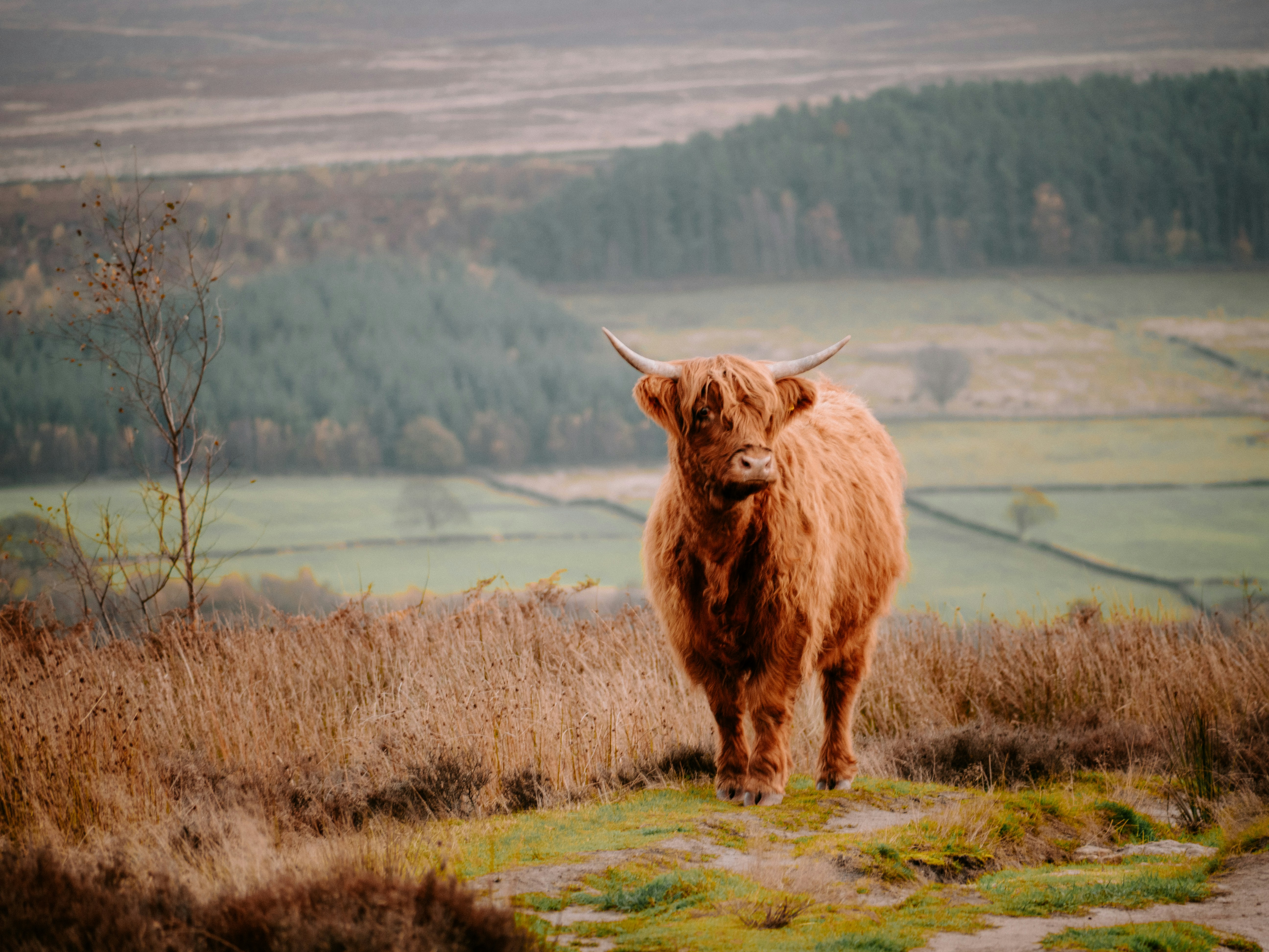 Photo by bengrayland