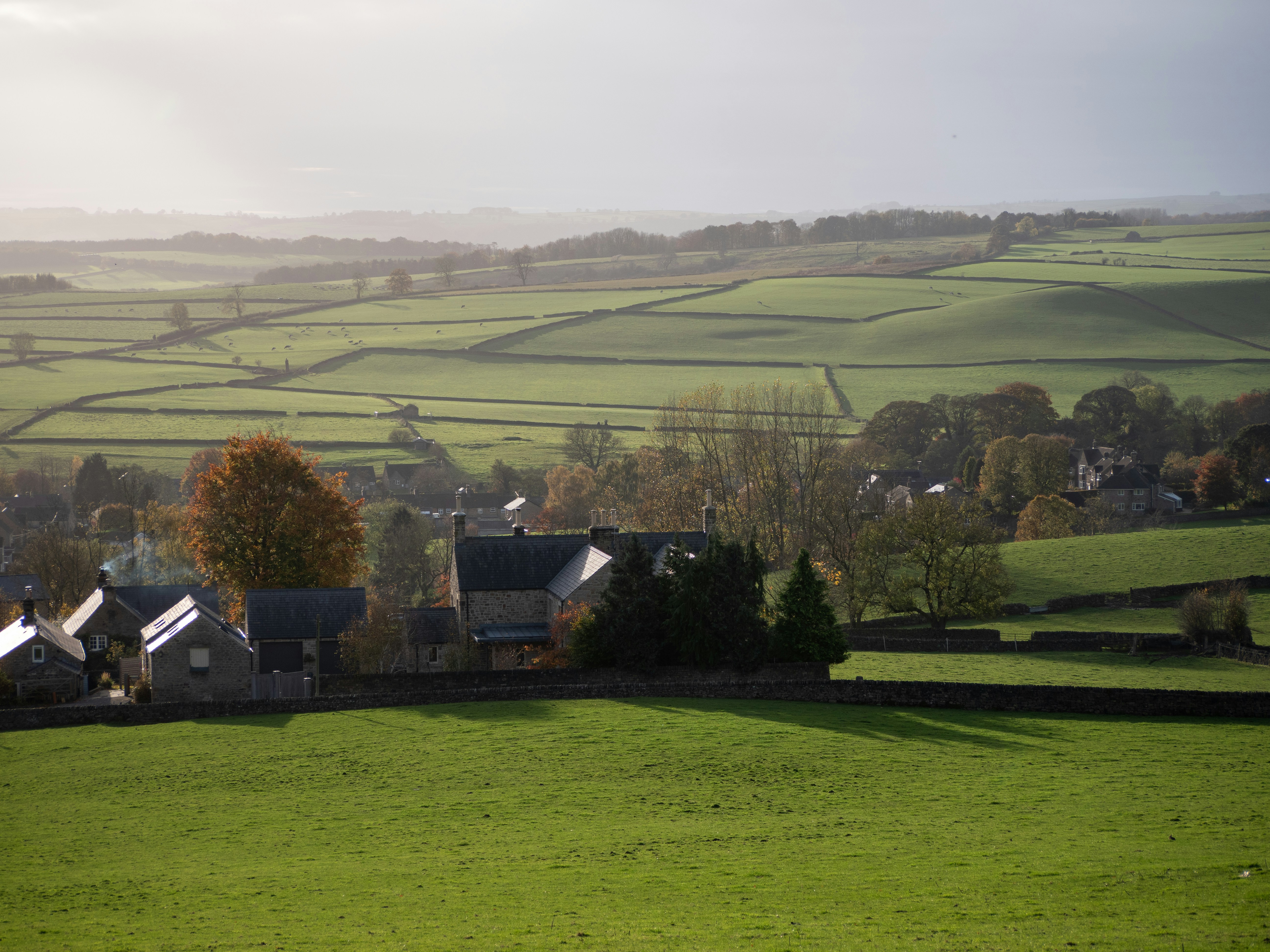 Photo by bengrayland