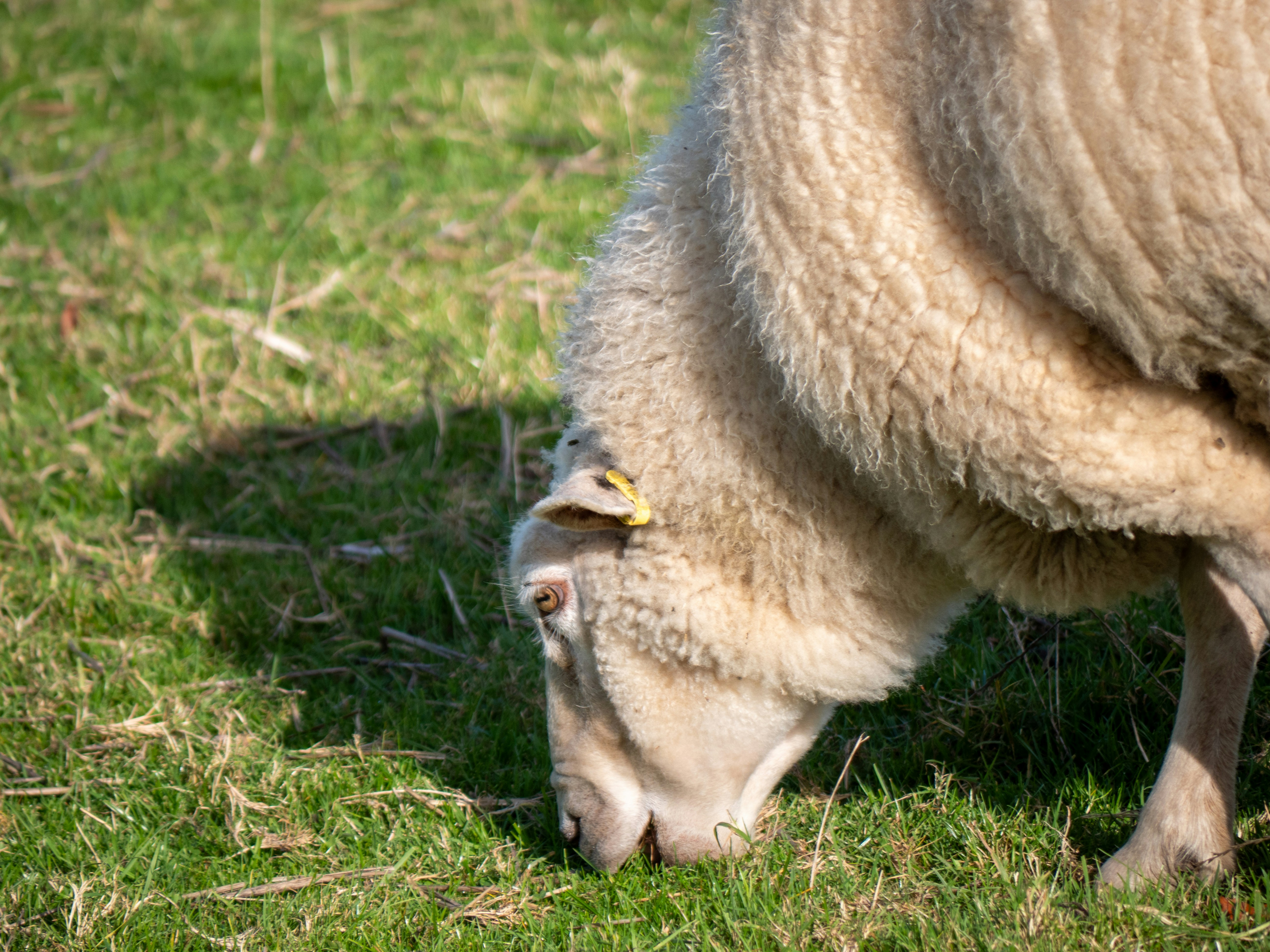 Photo by bengrayland