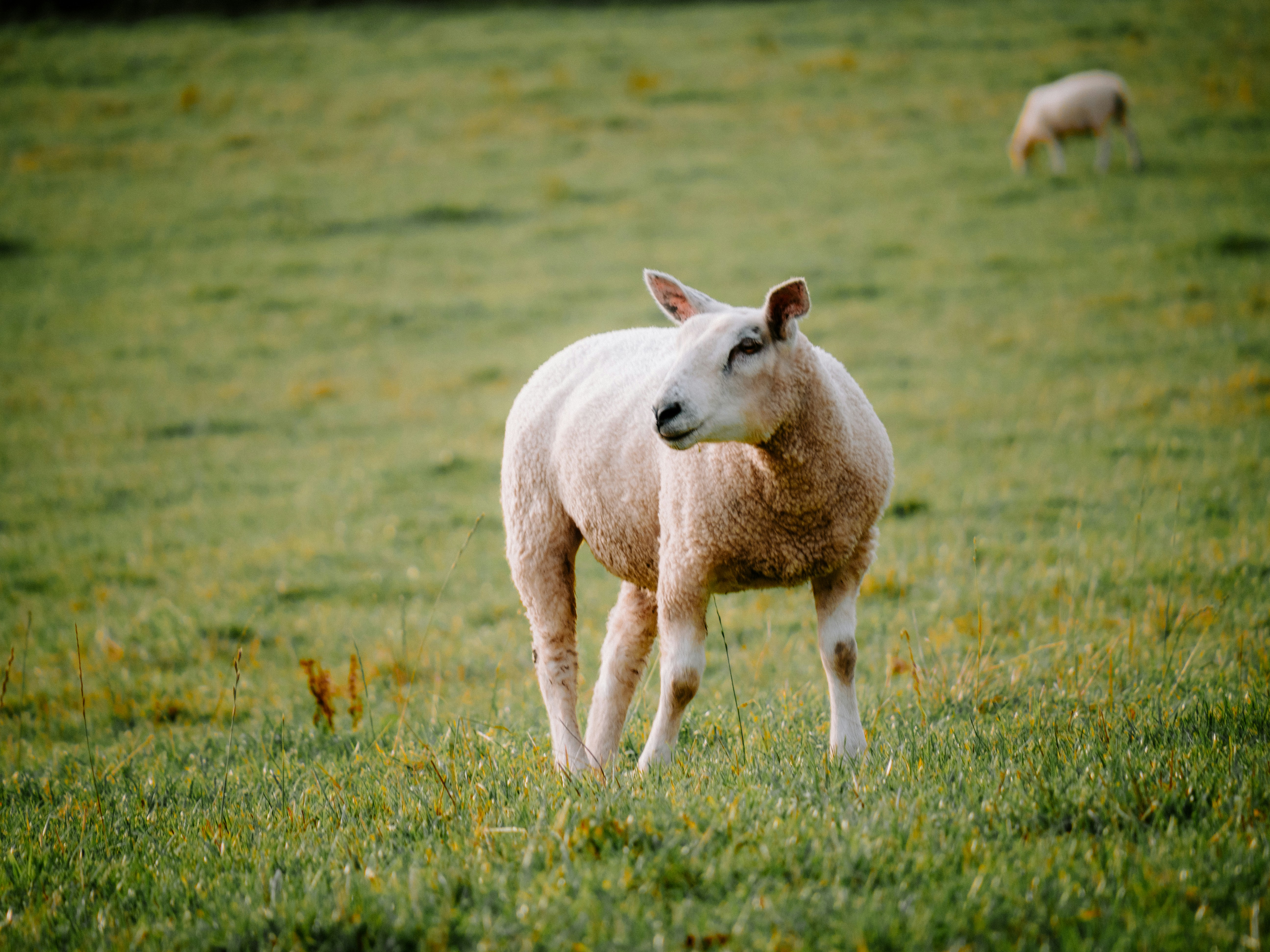 Photo by bengrayland