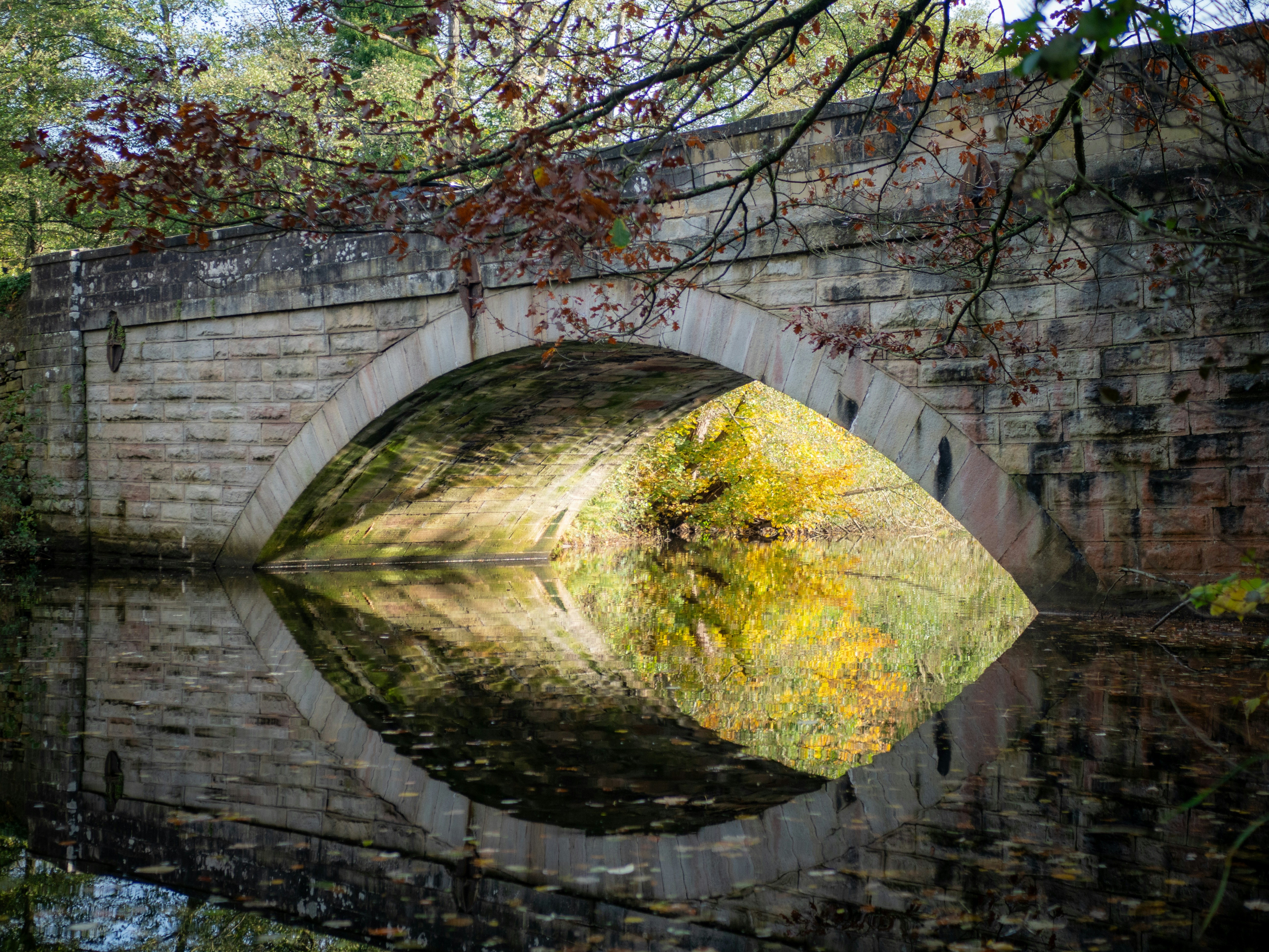 Photo by bengrayland