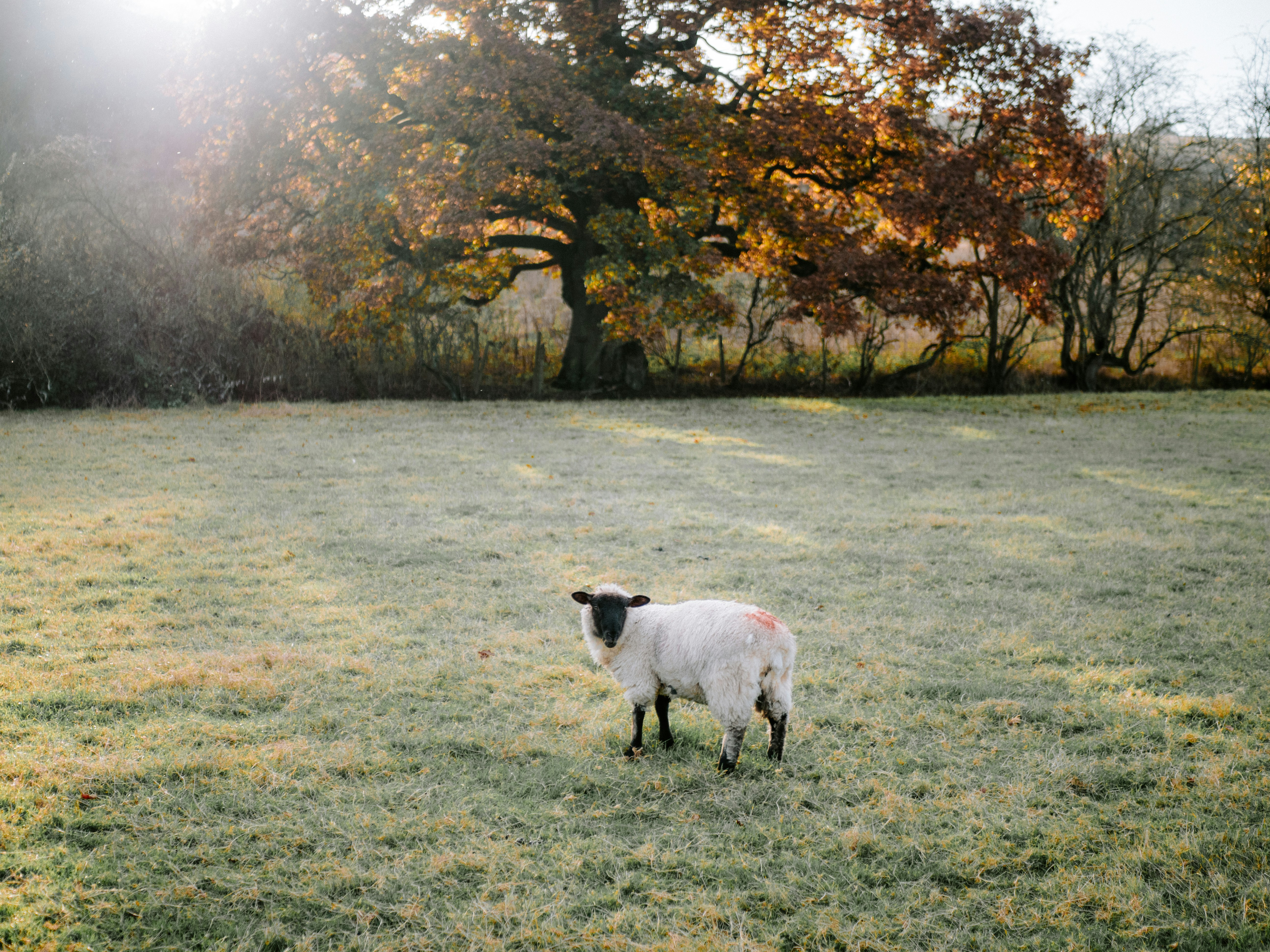 Photo by bengrayland