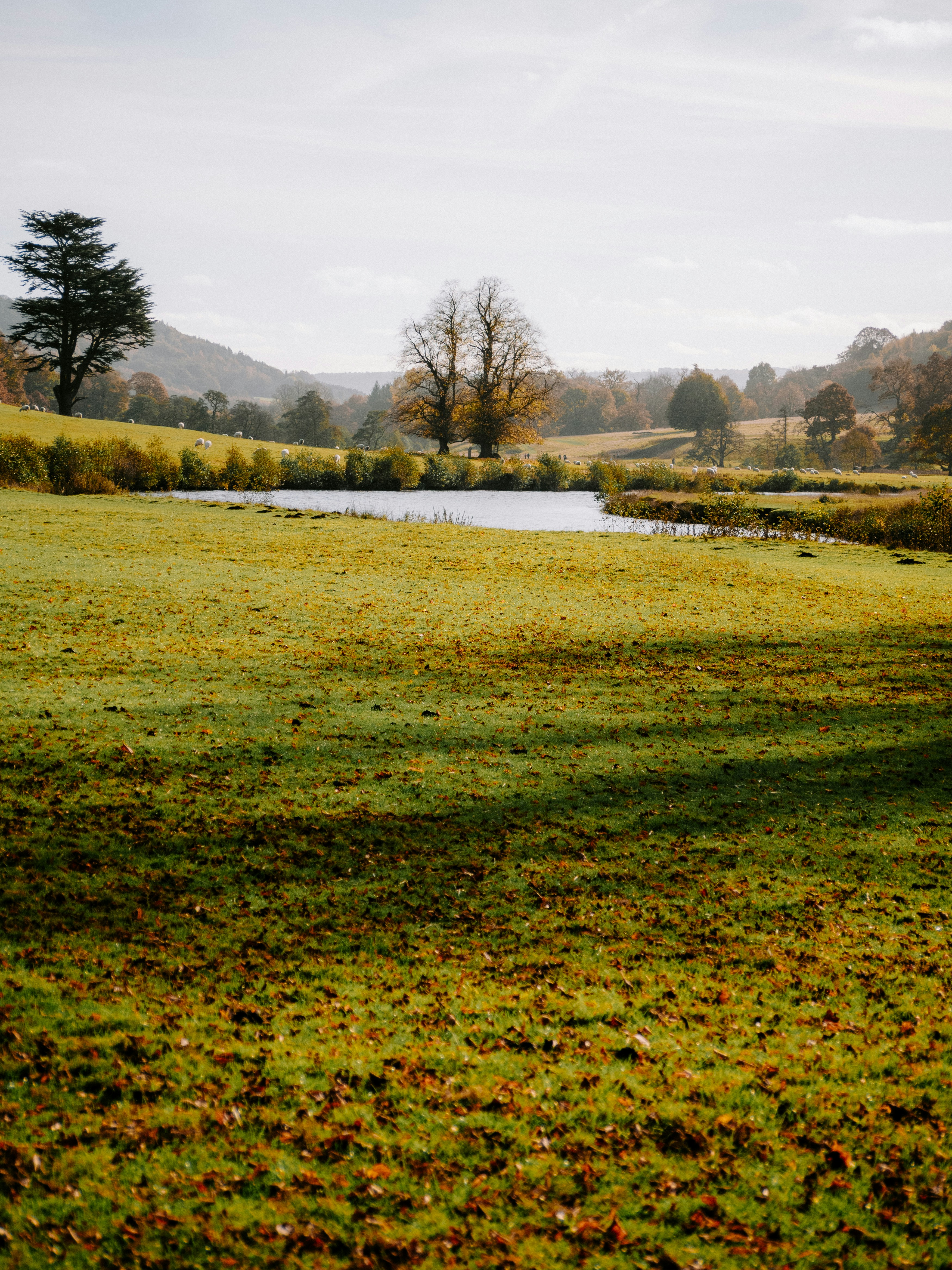 Photo by bengrayland