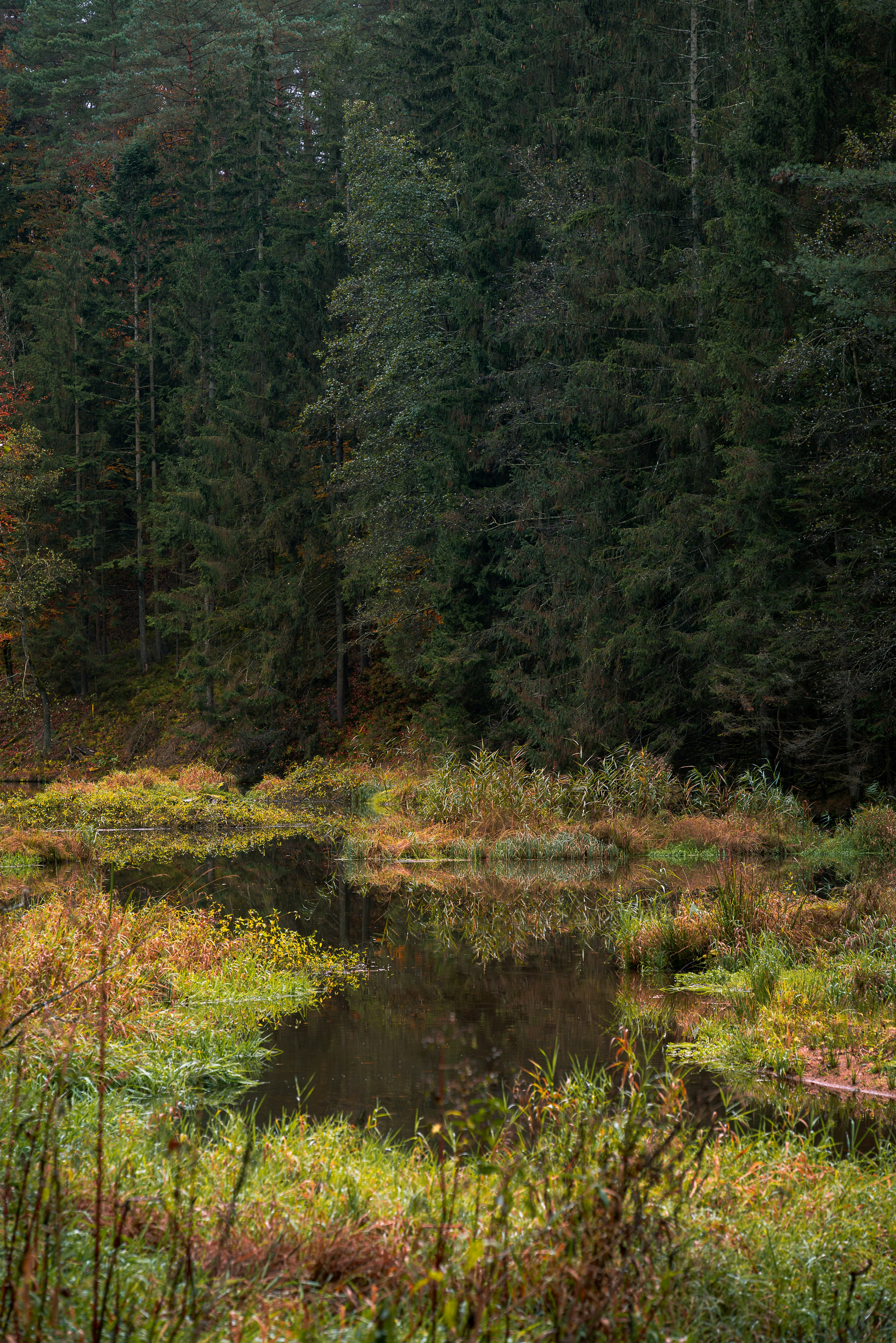 Photo by jetztabertempo