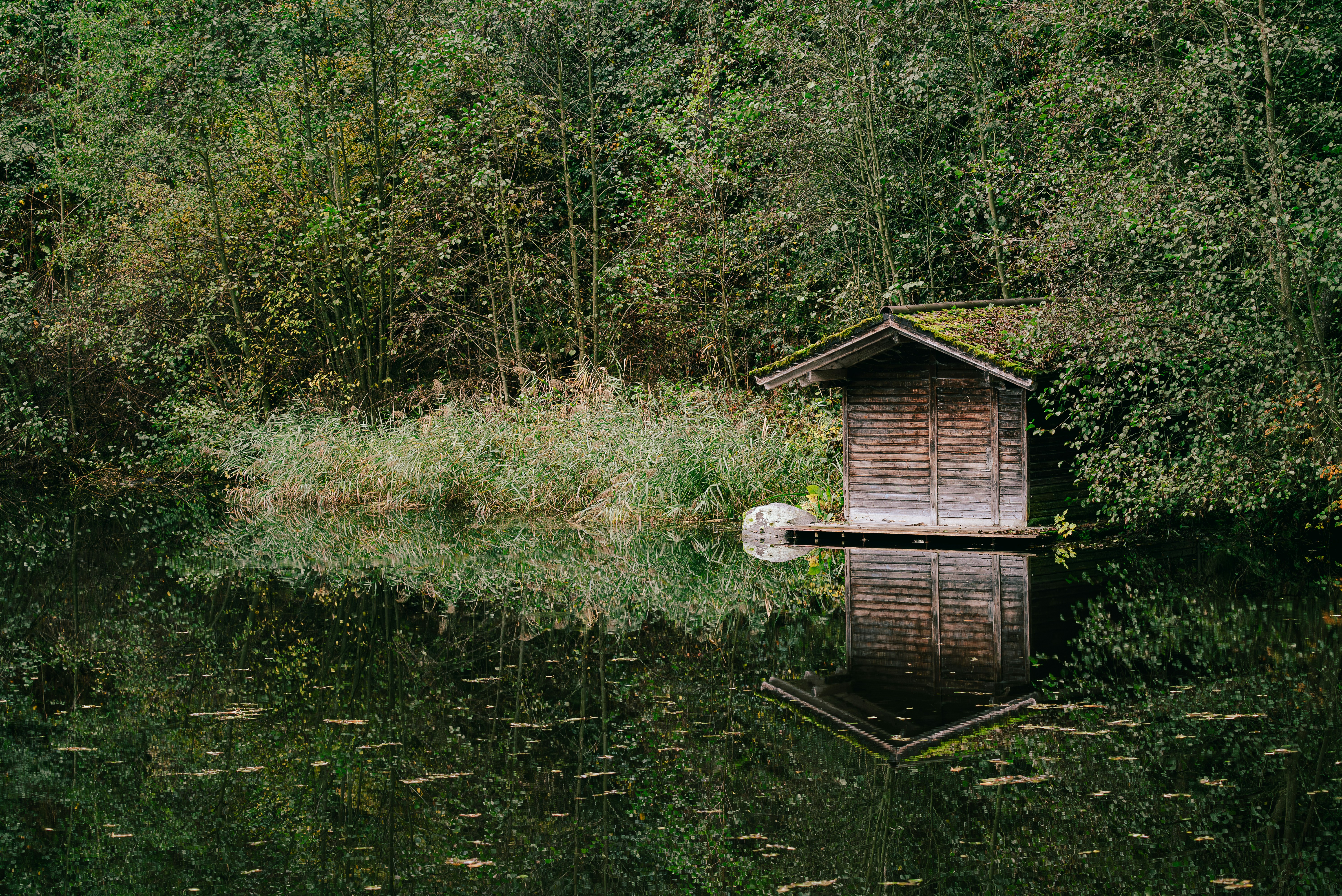 Photo by jetztabertempo