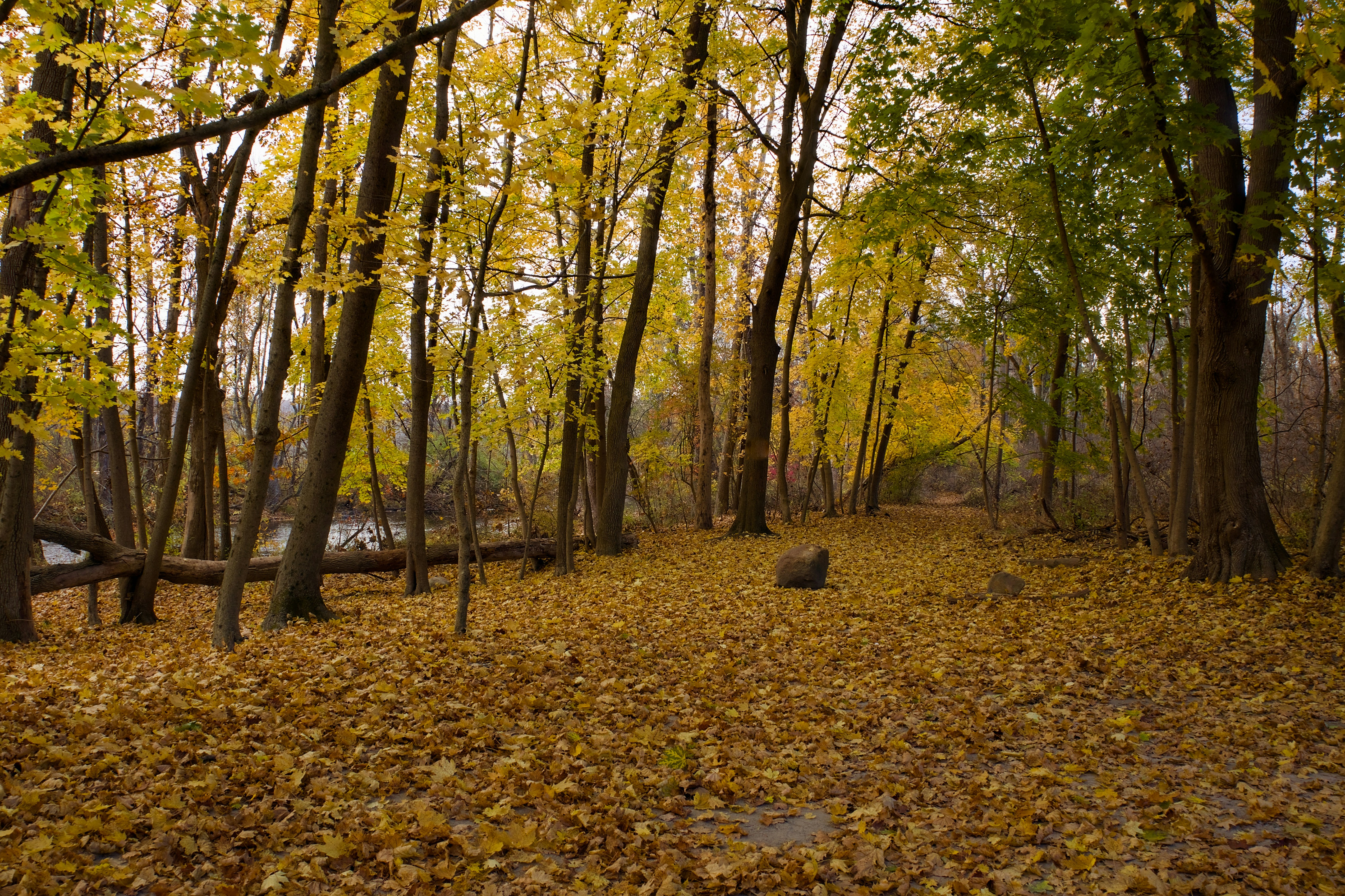 Photo by sherebiahtishbi