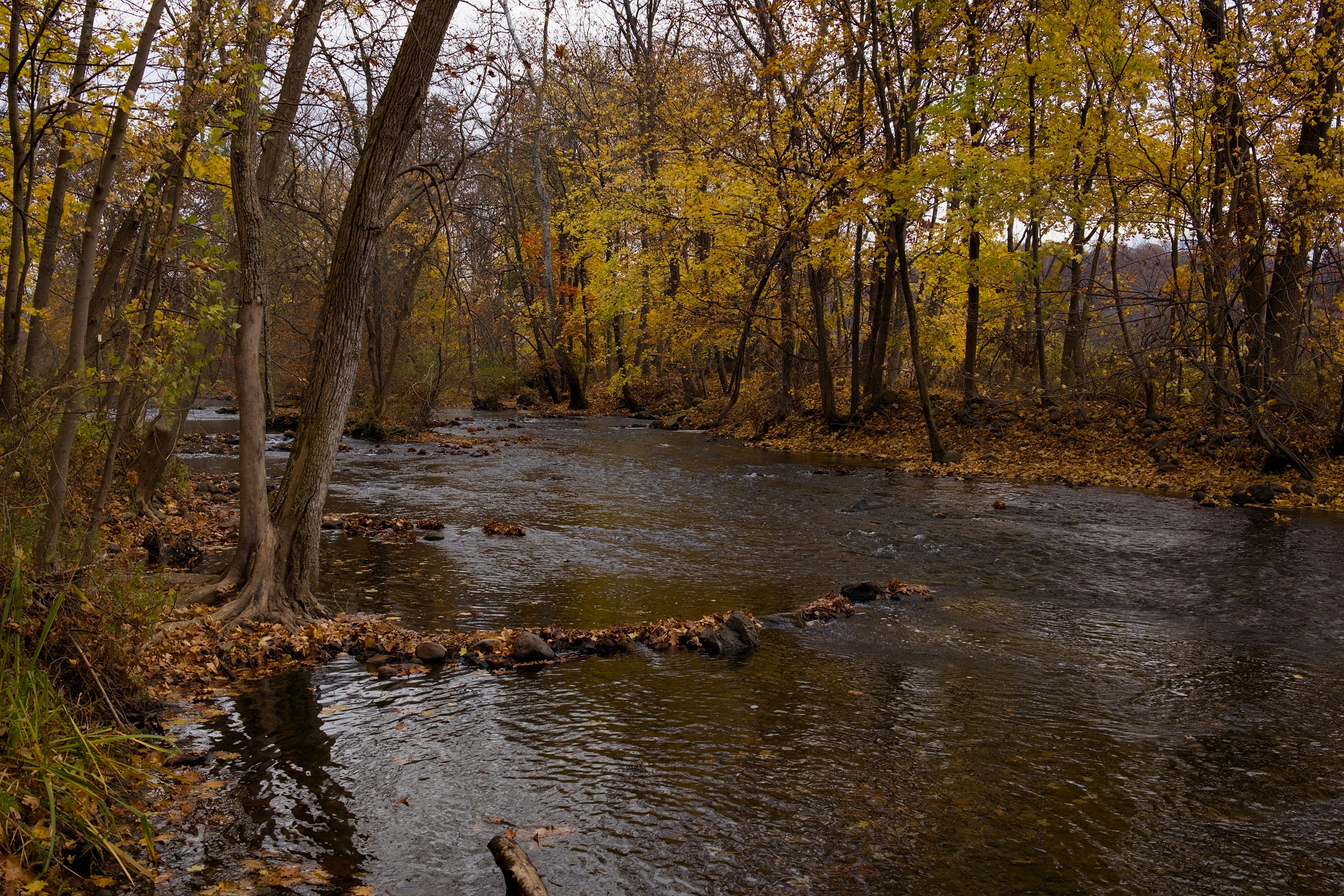 Photo by sherebiahtishbi