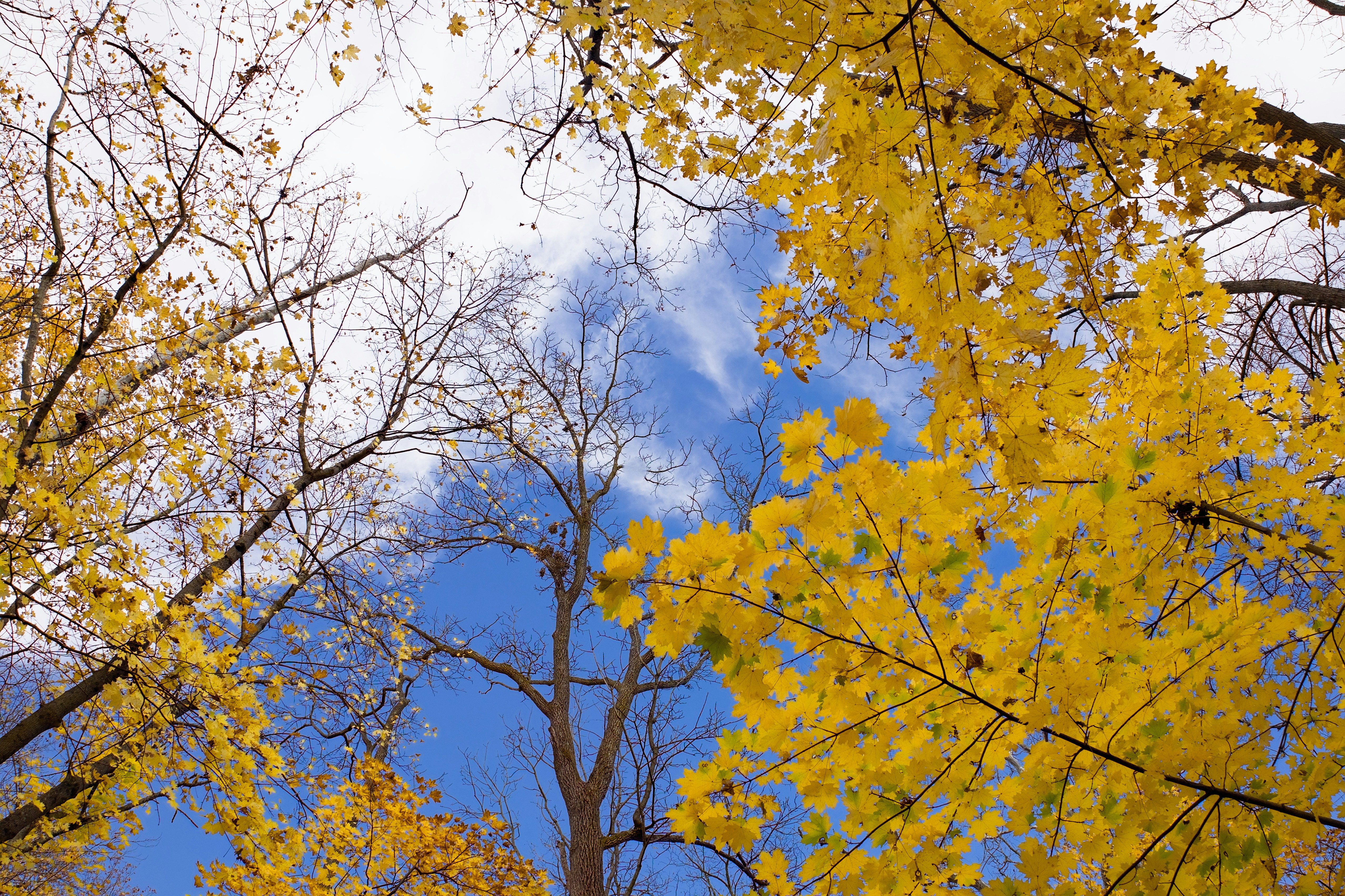 Photo by sherebiahtishbi