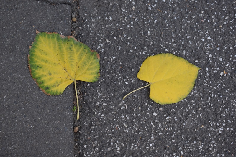 Adaptability