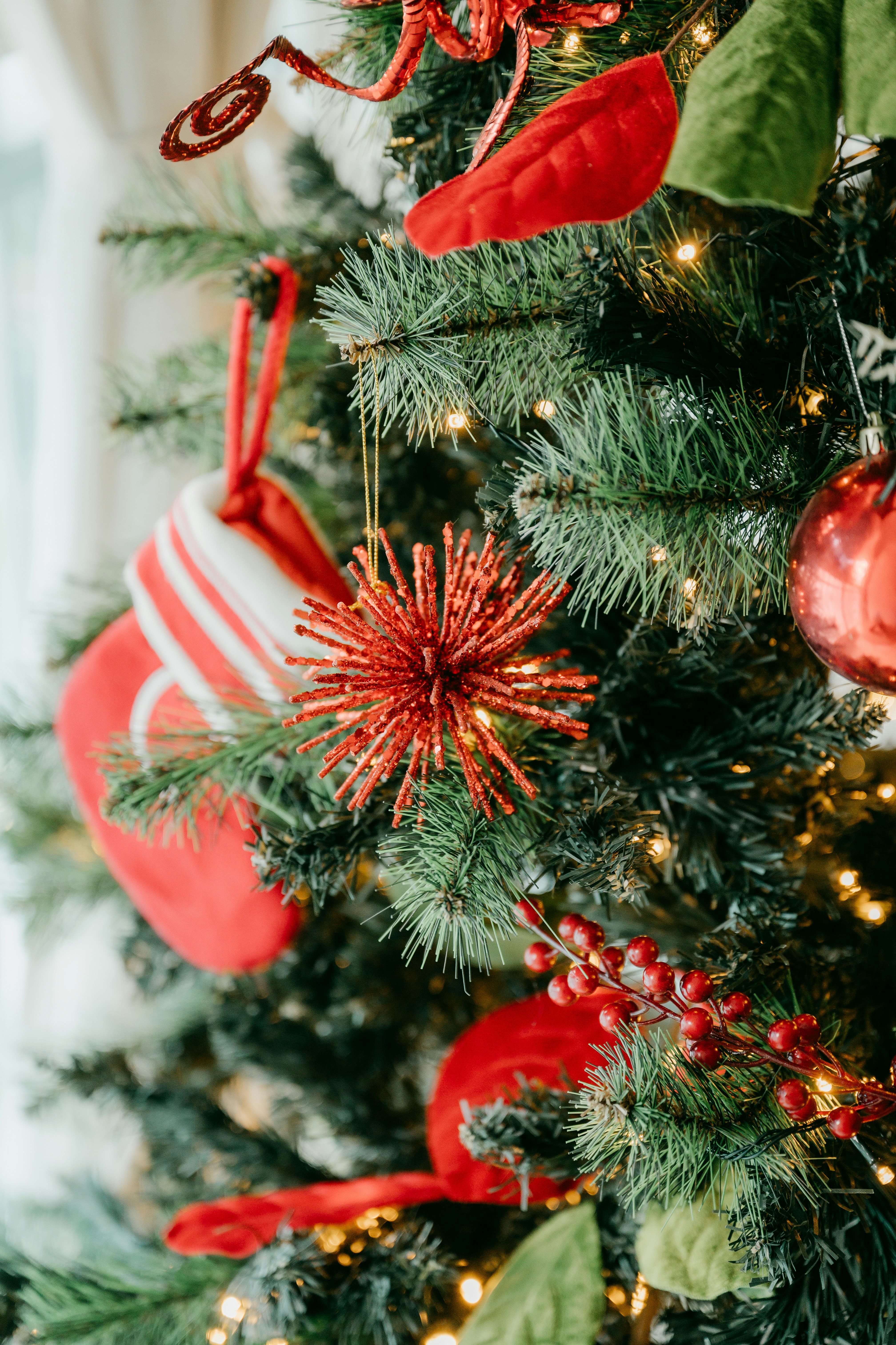 Photo by carloshorton