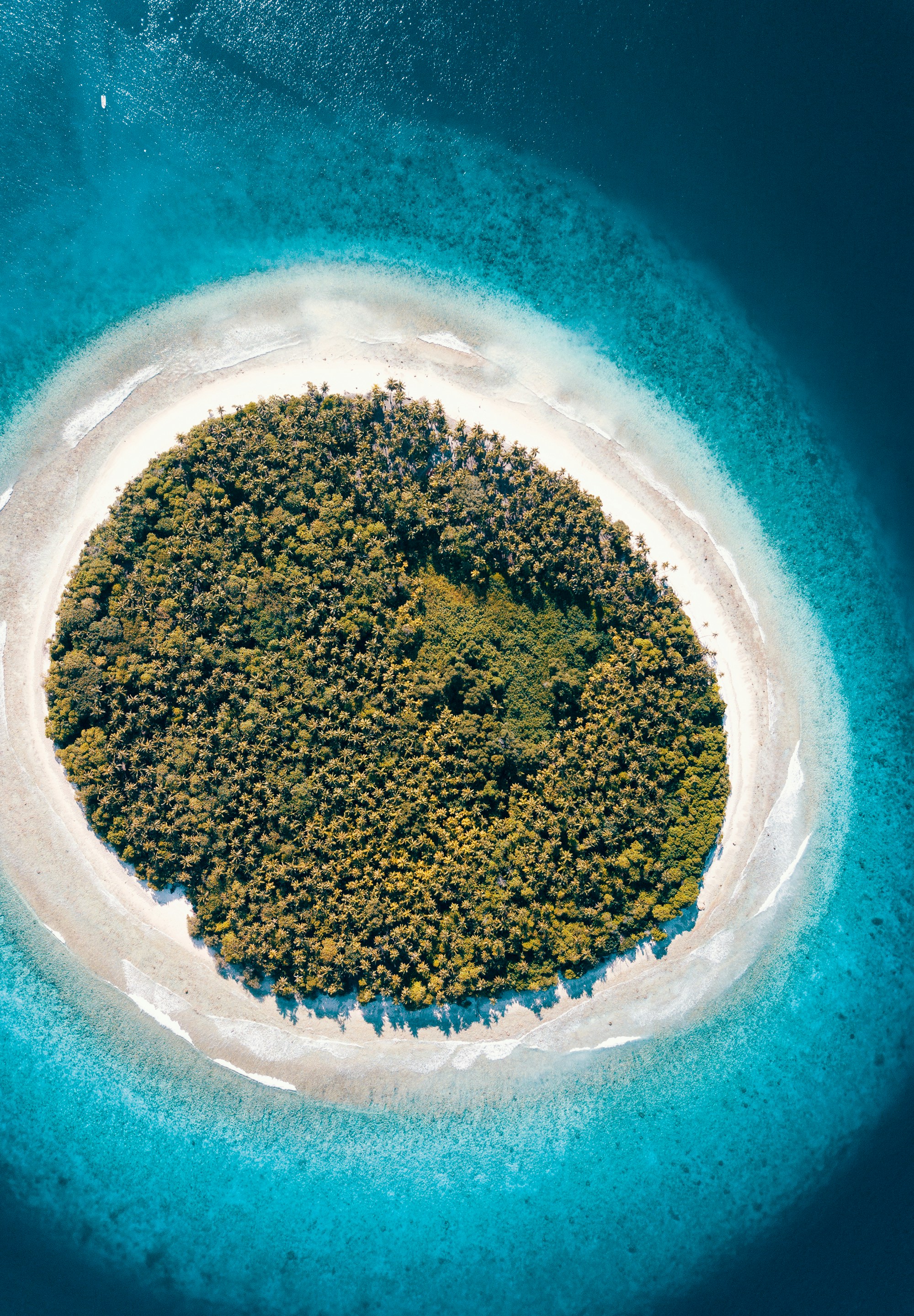 Ethereum's Potential Compared to Amazon: 21Shares Experts Share Insights