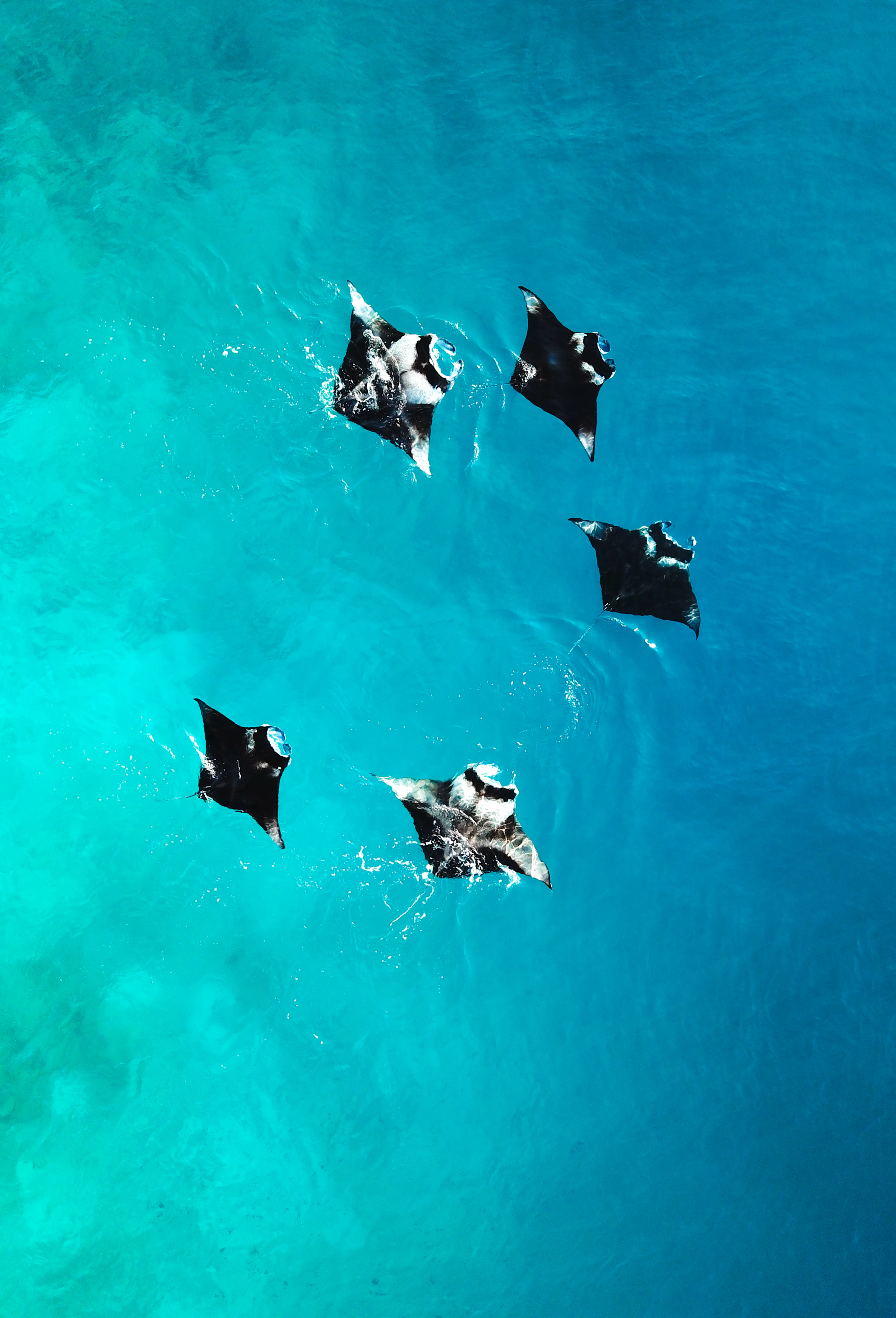 A group of small boats floating on top of a body of water