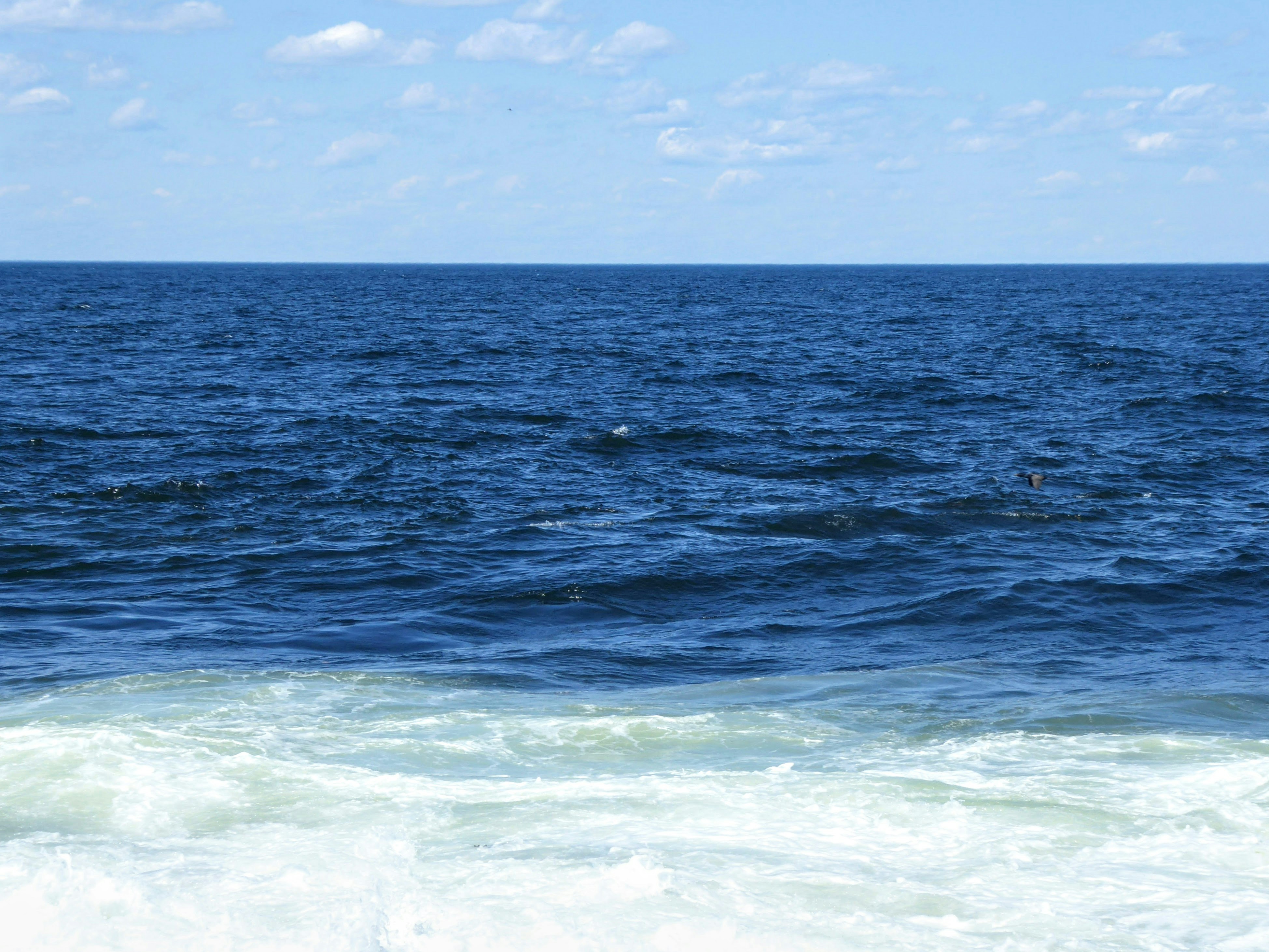 Scientists Warn Atlantic Ocean Current AMOC at Risk of Shutting Down
