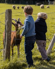 Two children looking at a goat through a fence