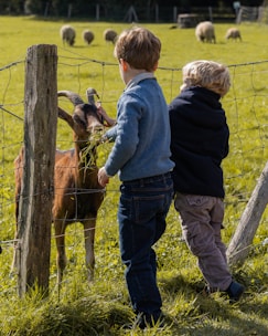 Two children looking at a goat through a fence