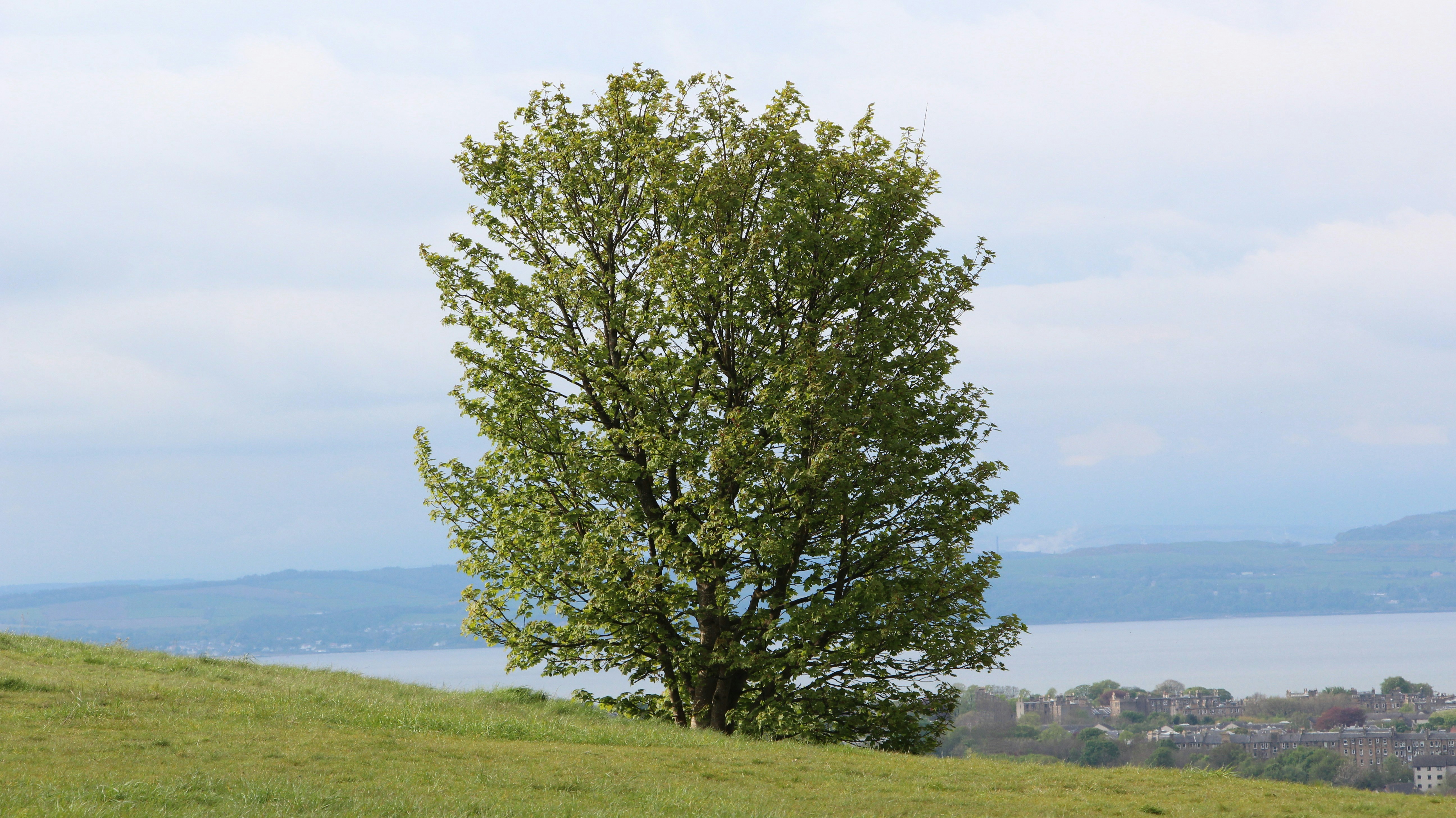 Photo by gio_petraccaro