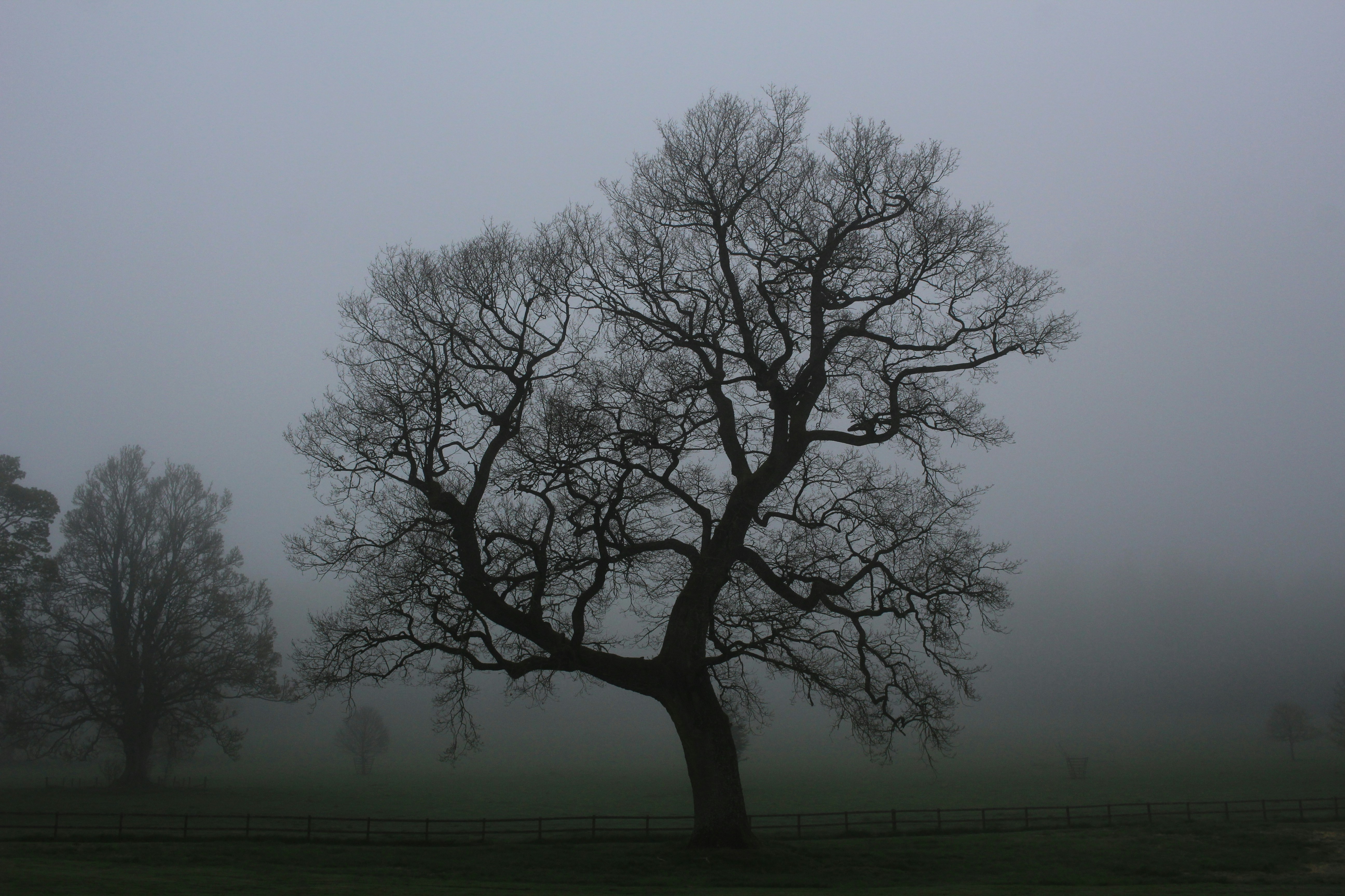 Sunday's FTB: ECHL with a strike vote