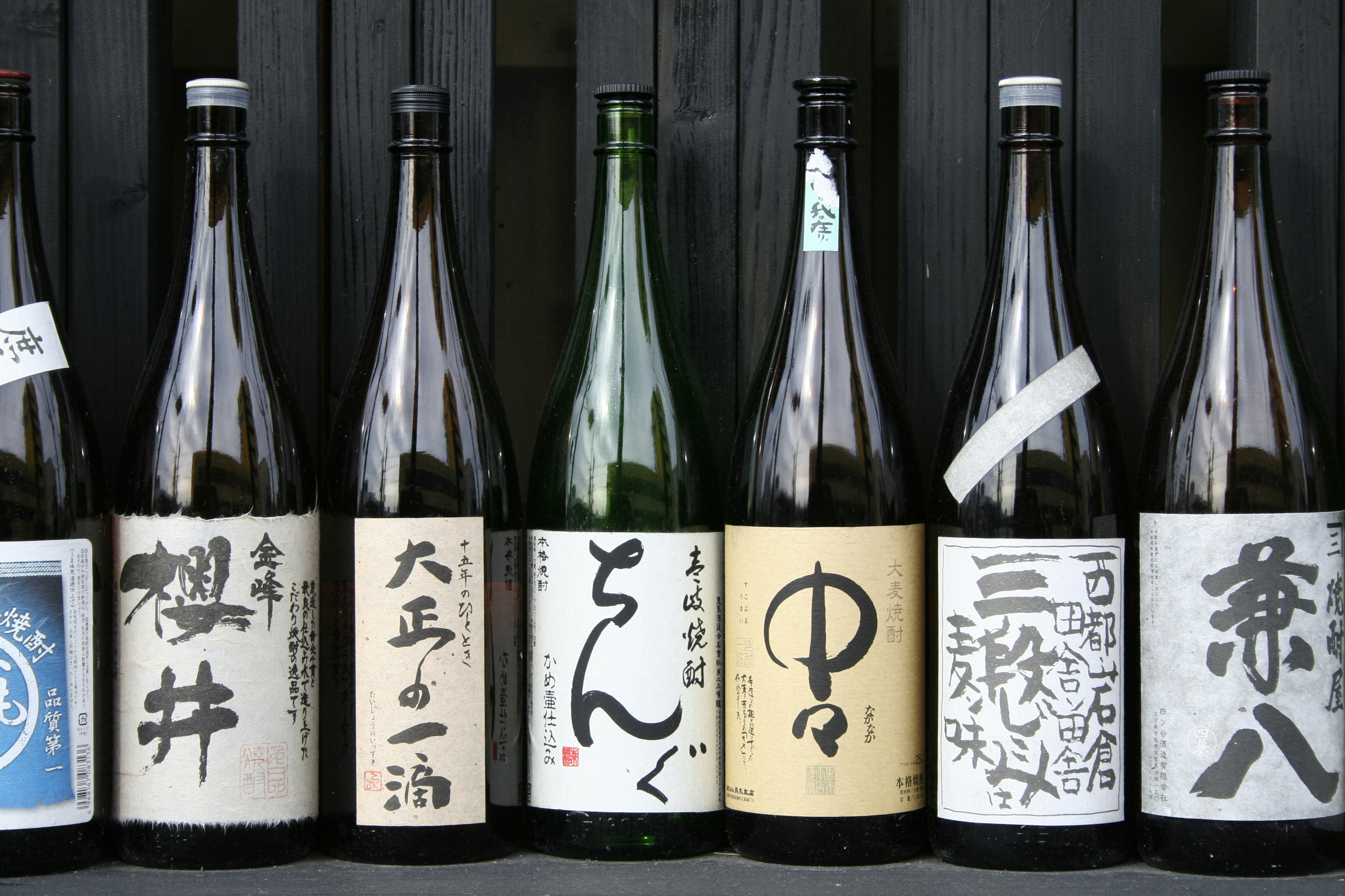 Young Japanese sake brewer at work