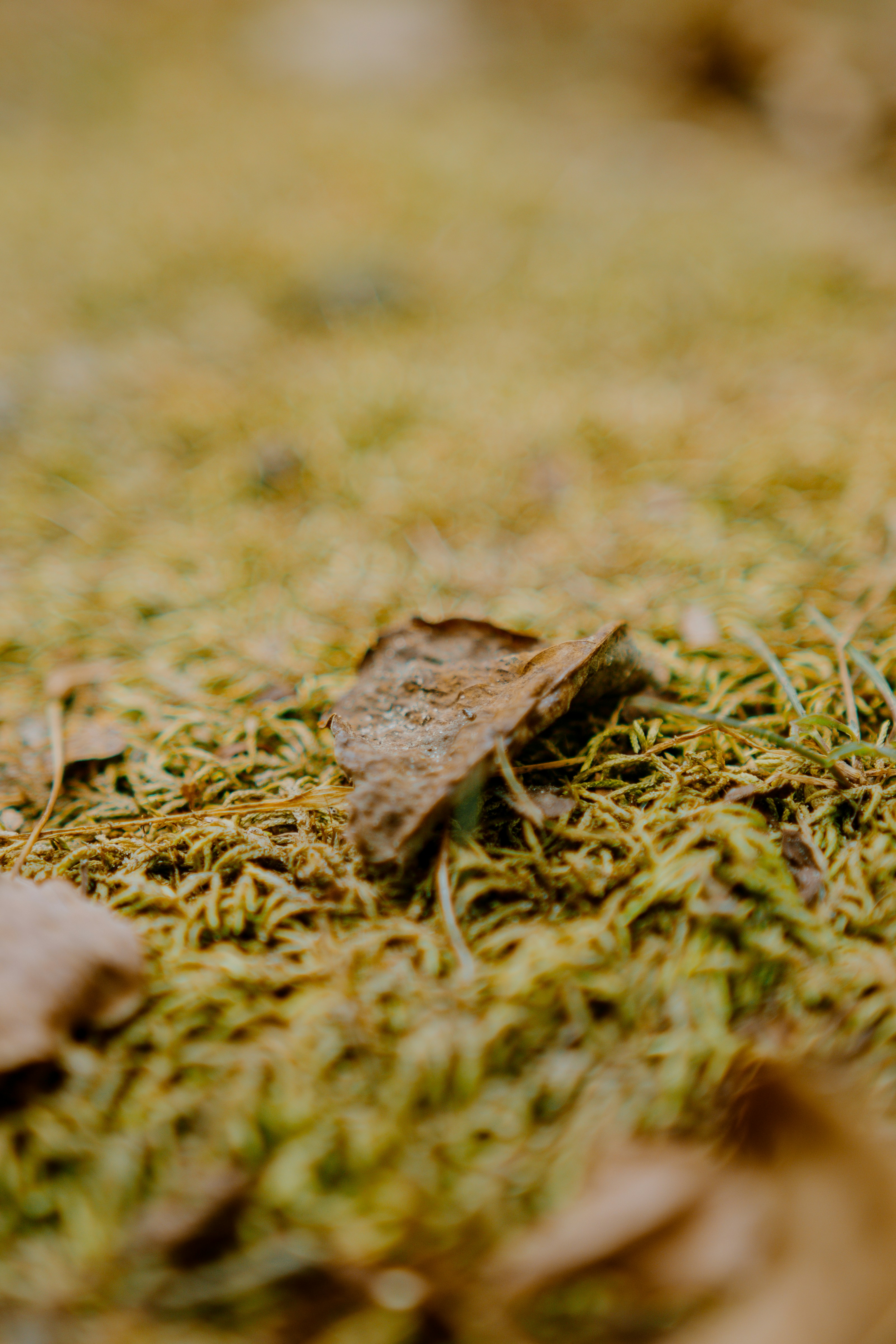 Photo by joseph_royer