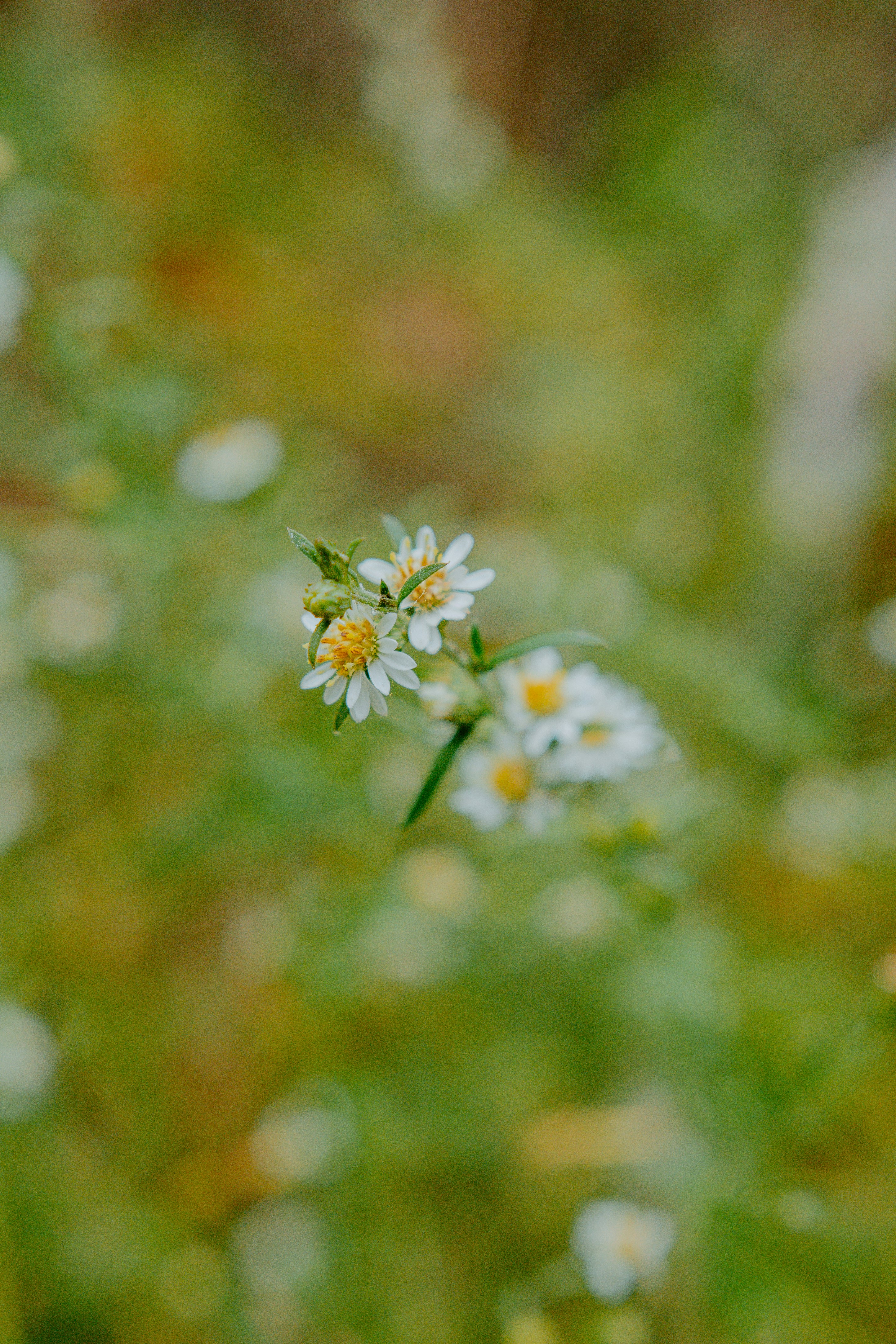 Photo by joseph_royer