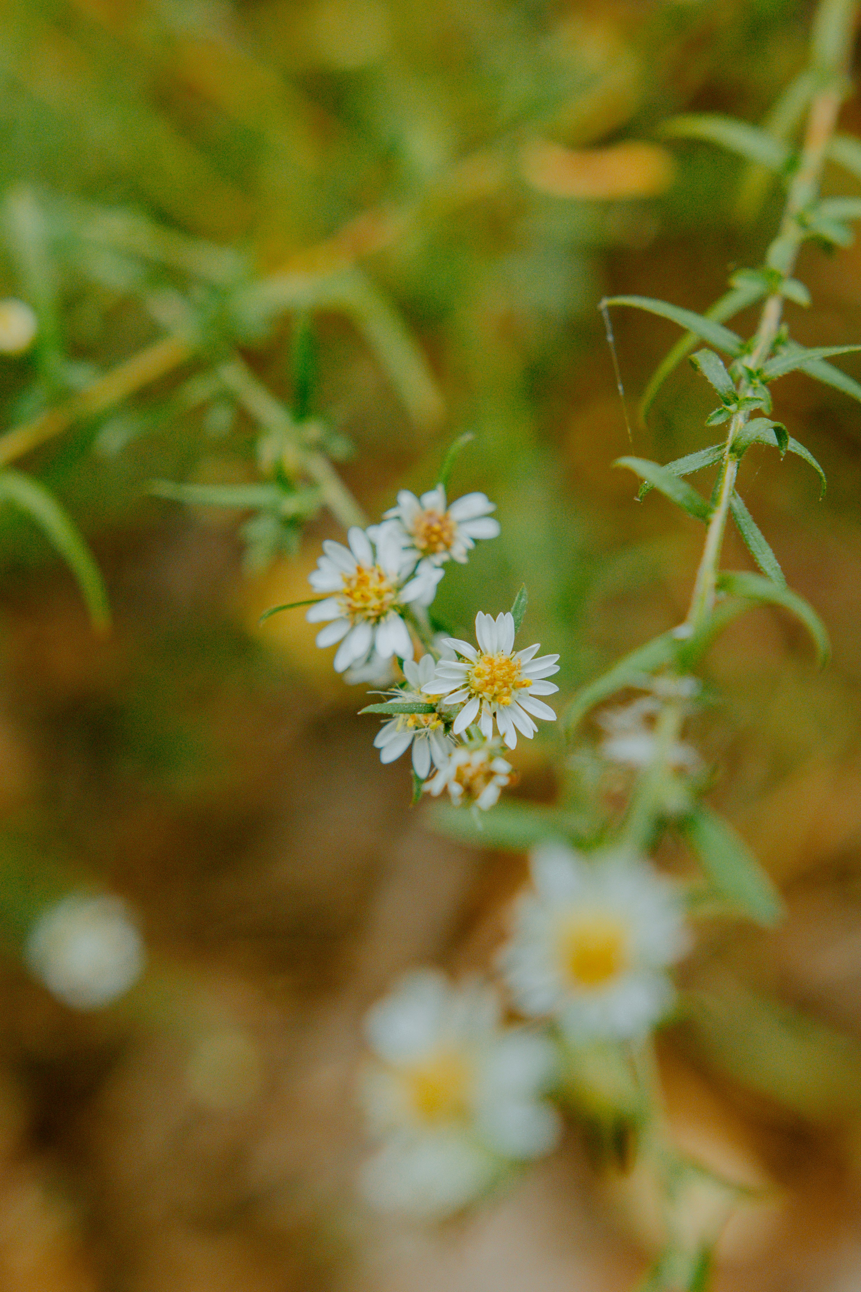 Photo by joseph_royer