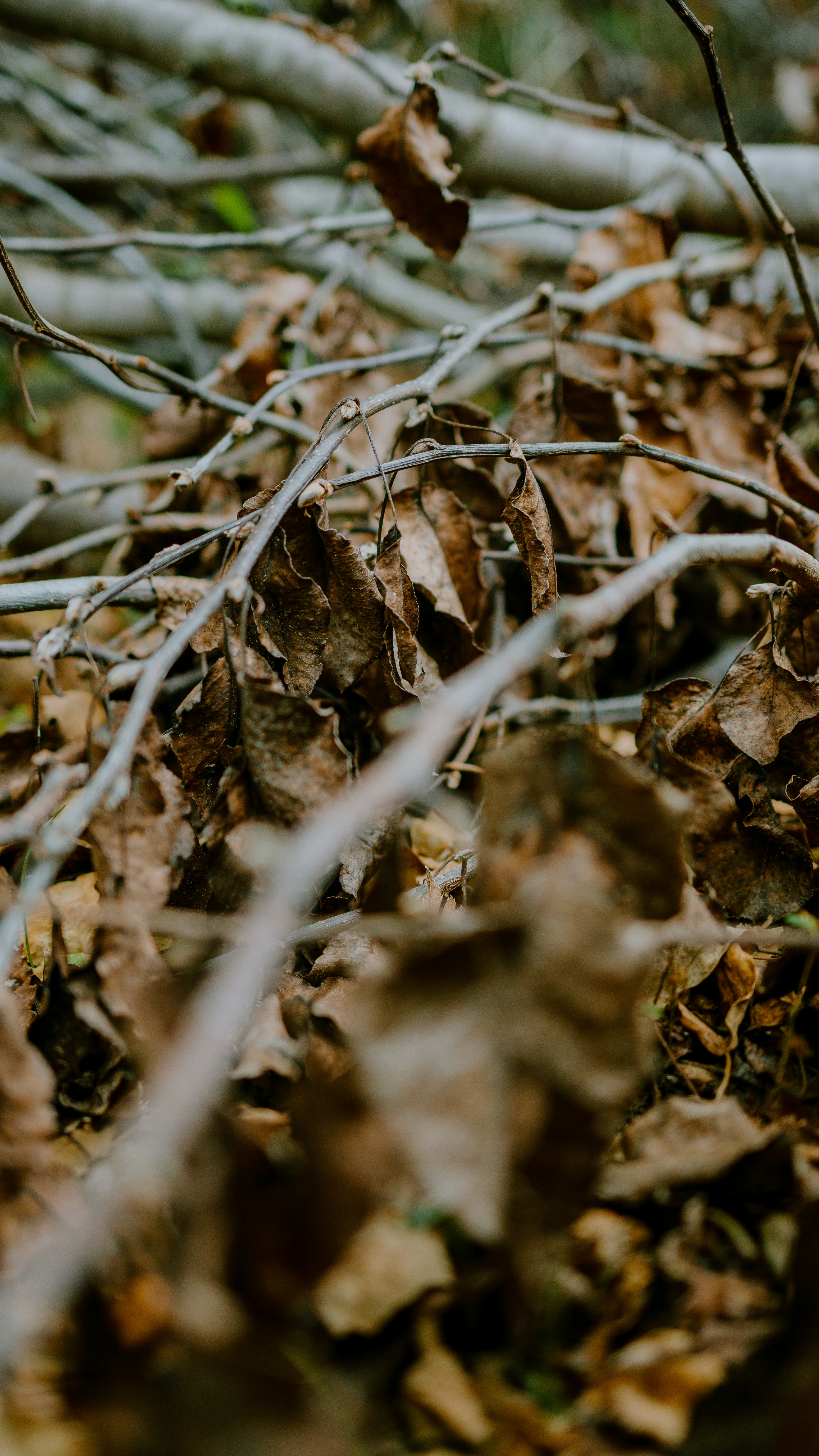 Photo by joseph_royer