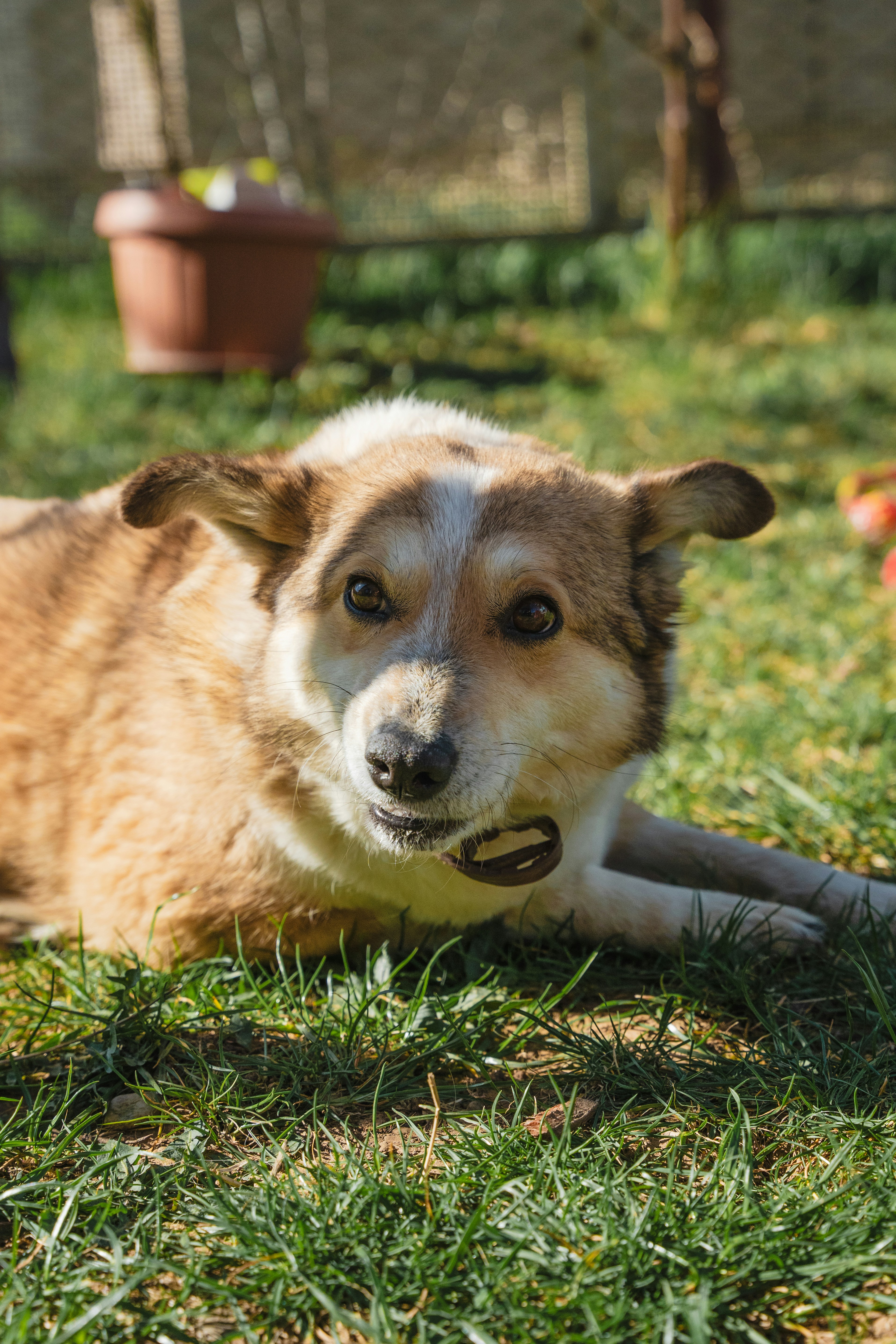 Photo by winstontjia