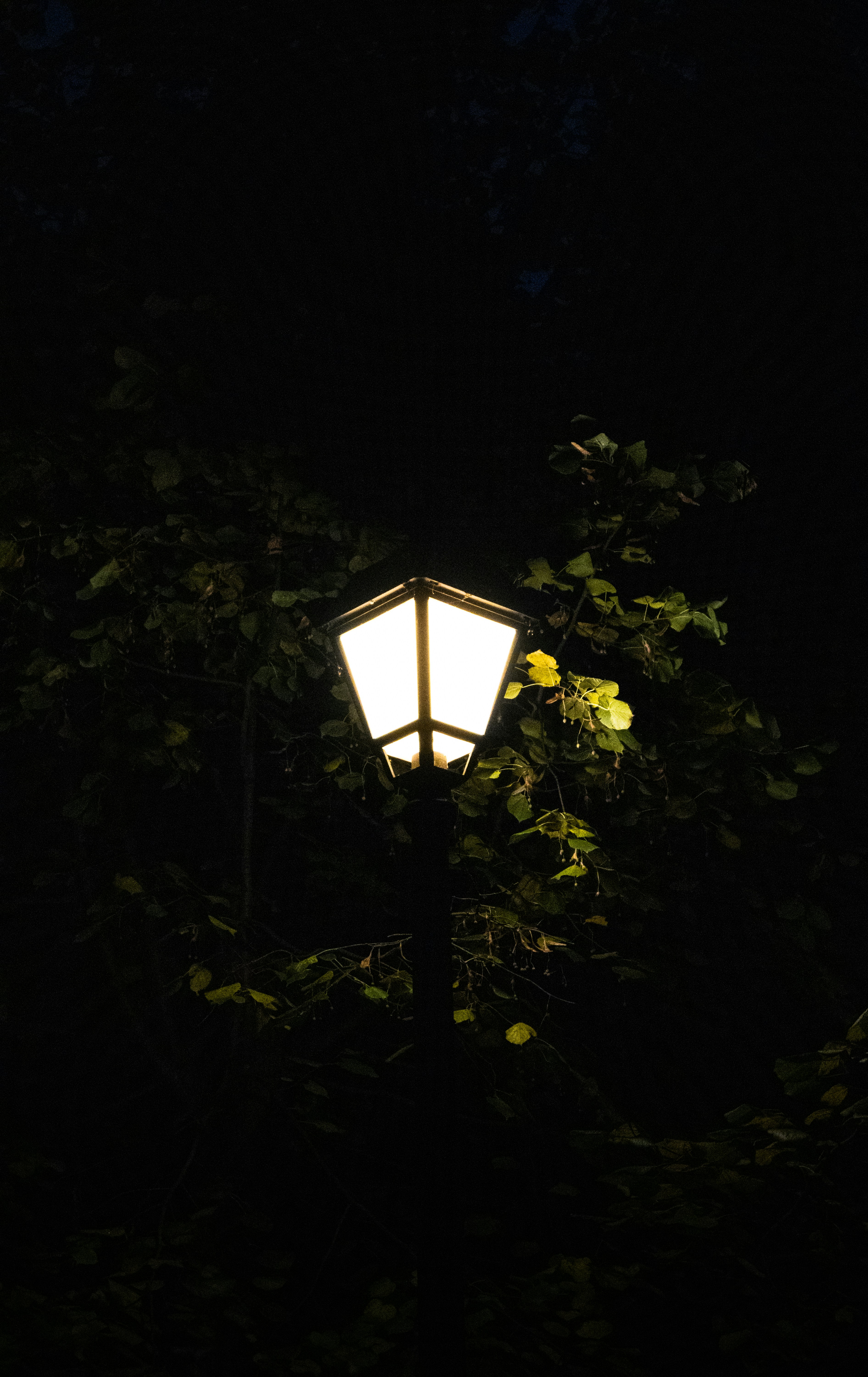 Photo by big_head_hunter