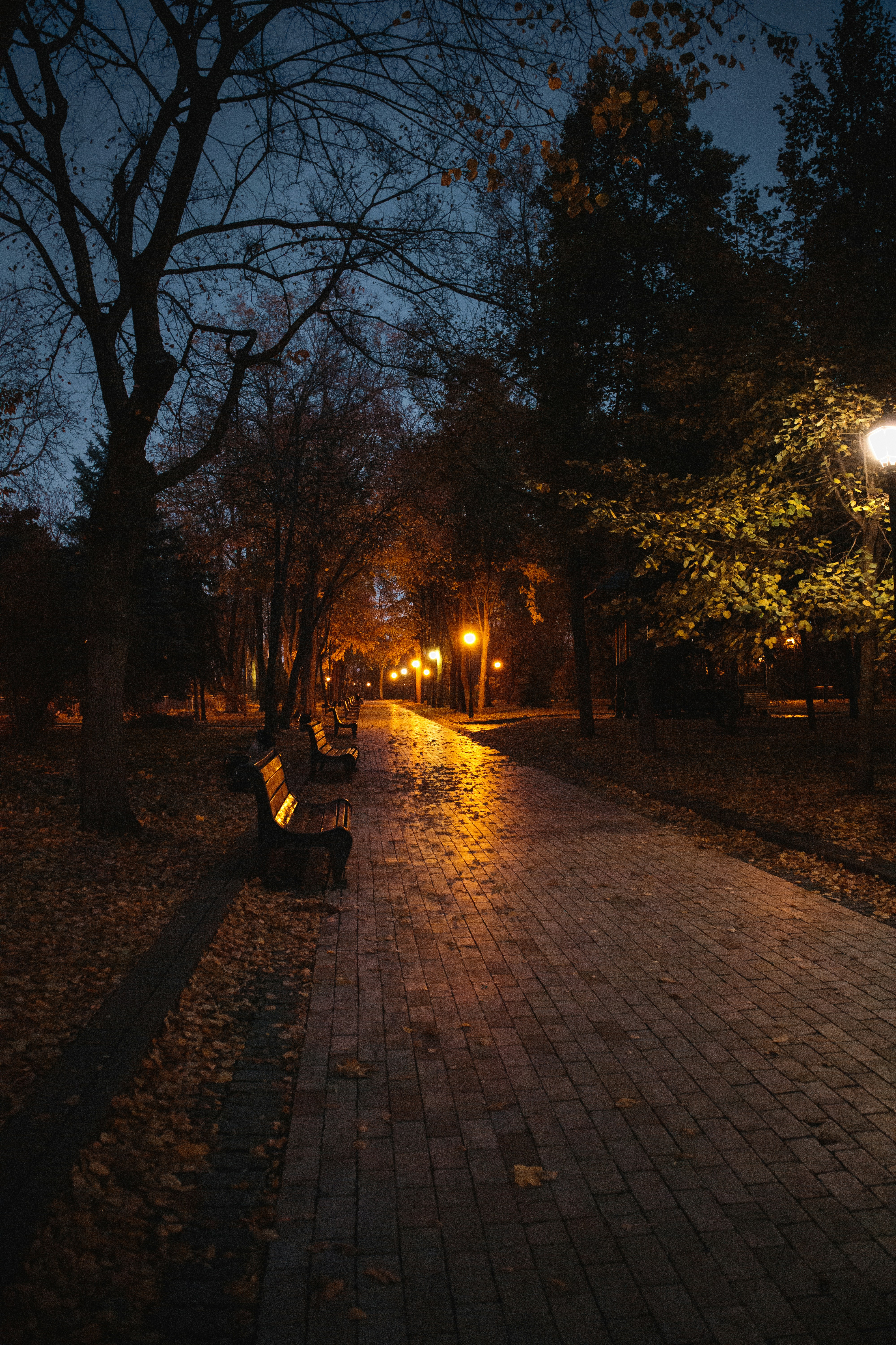 A park bench sitting on a brick walkway at night