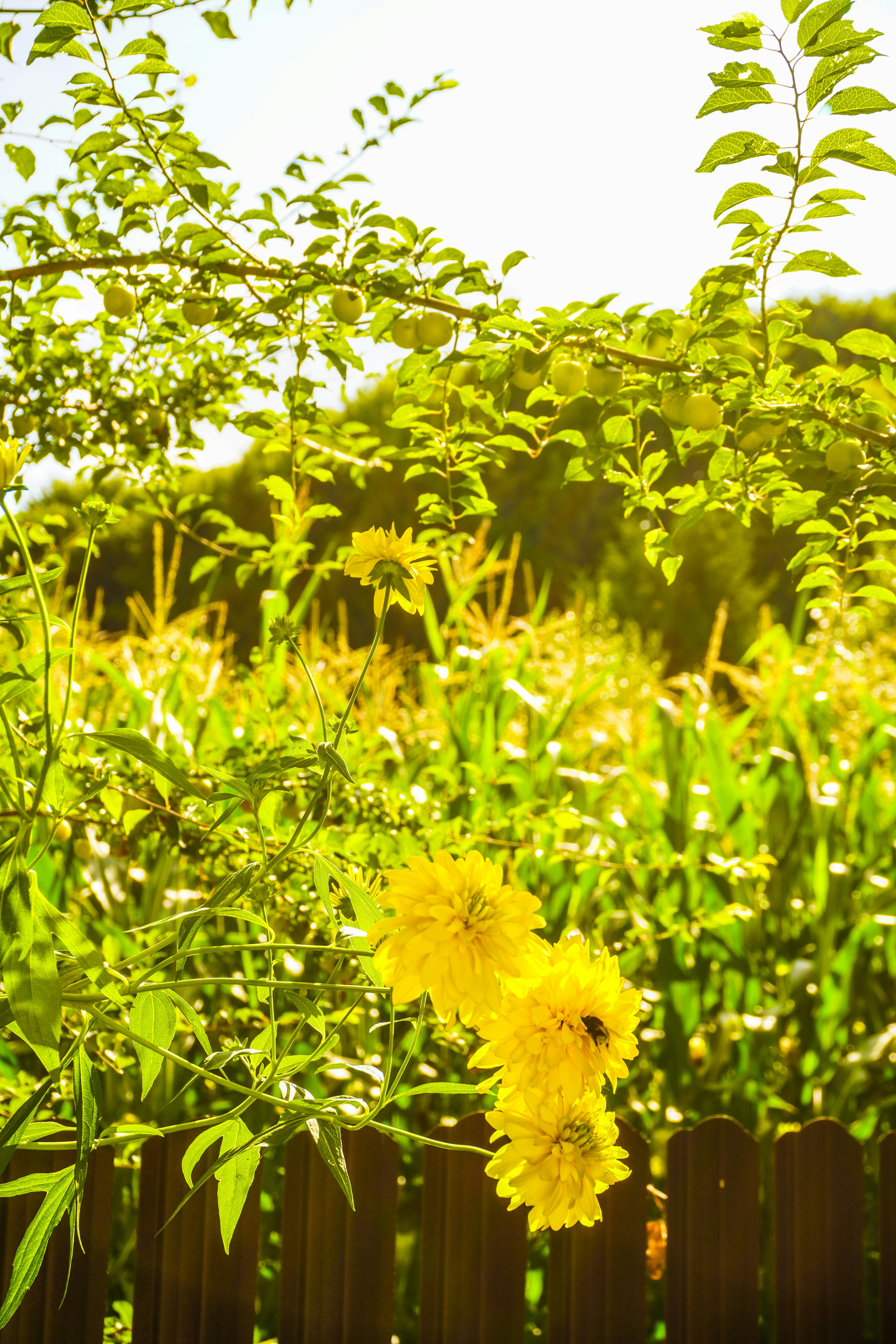 Photo by ioana_roxanna_b