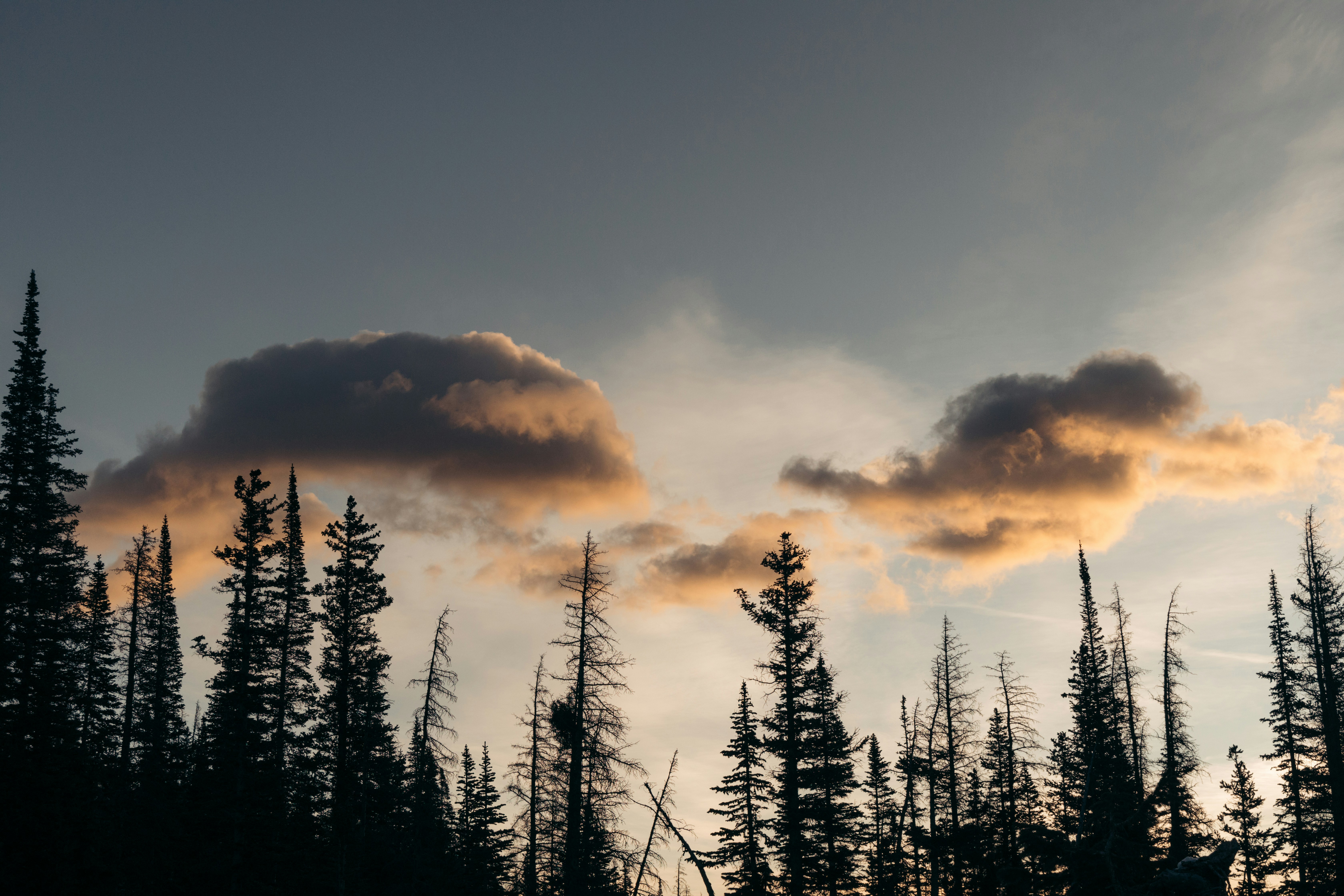 Photo by ldpeterson11