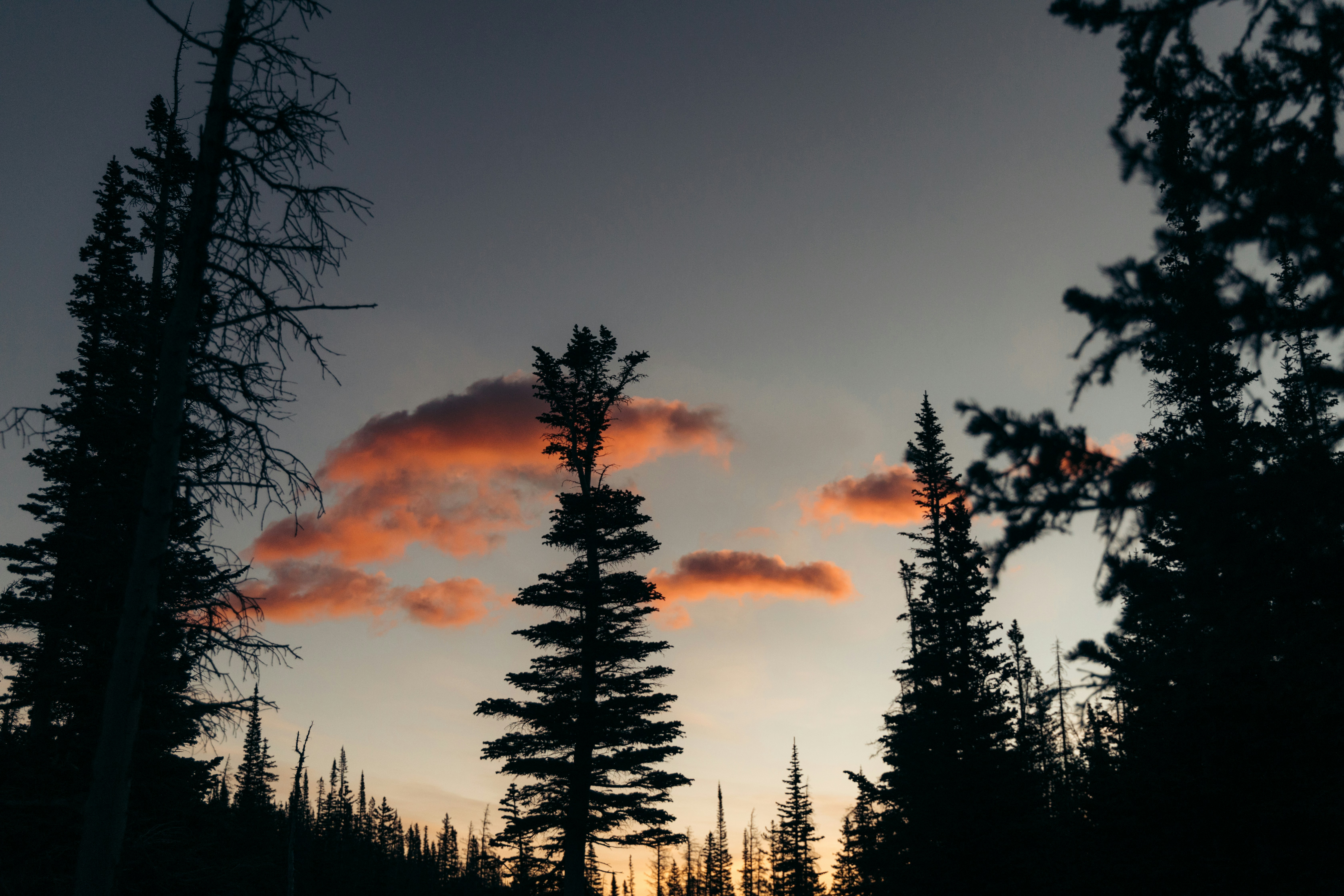 Photo by ldpeterson11