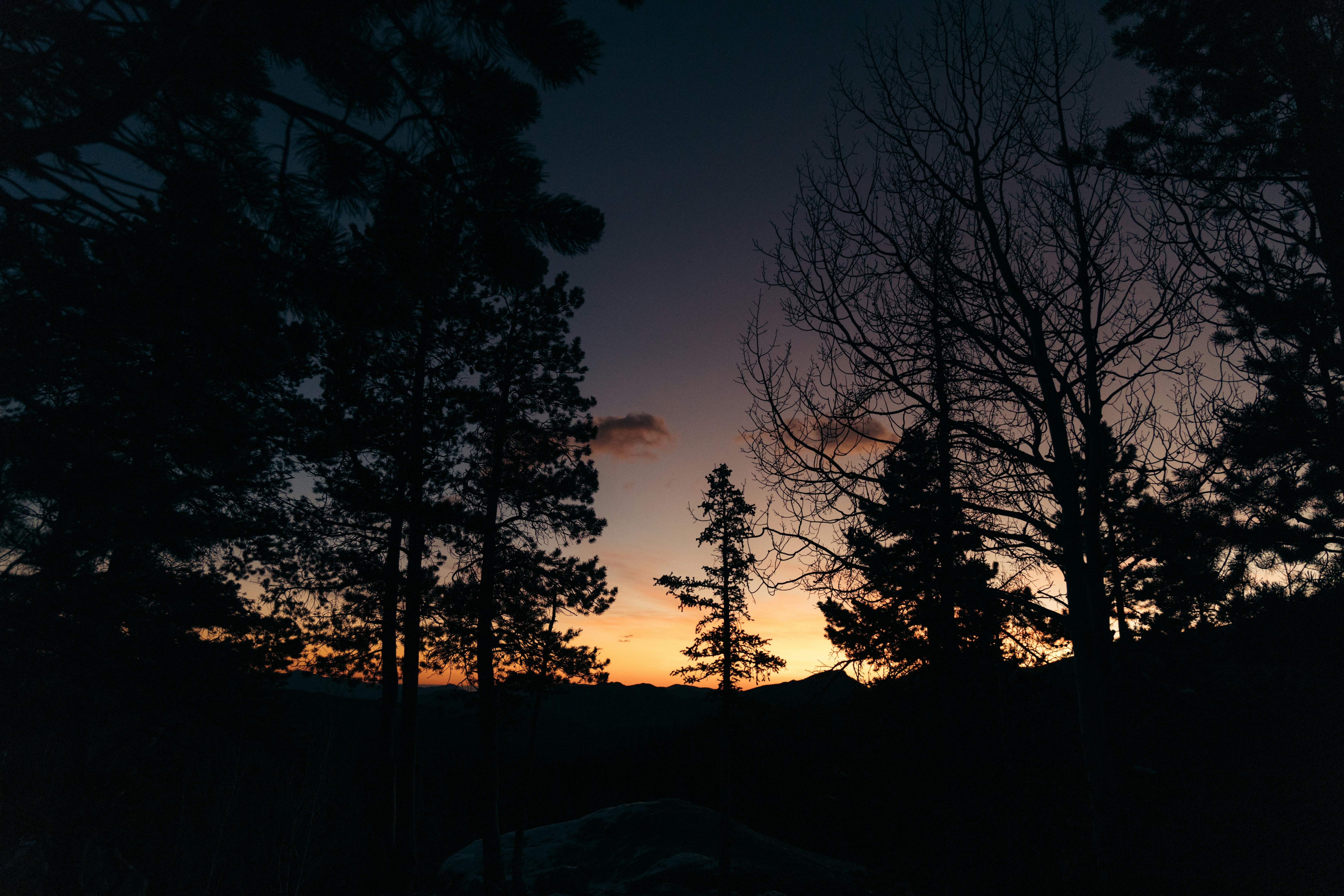 Photo by ldpeterson11