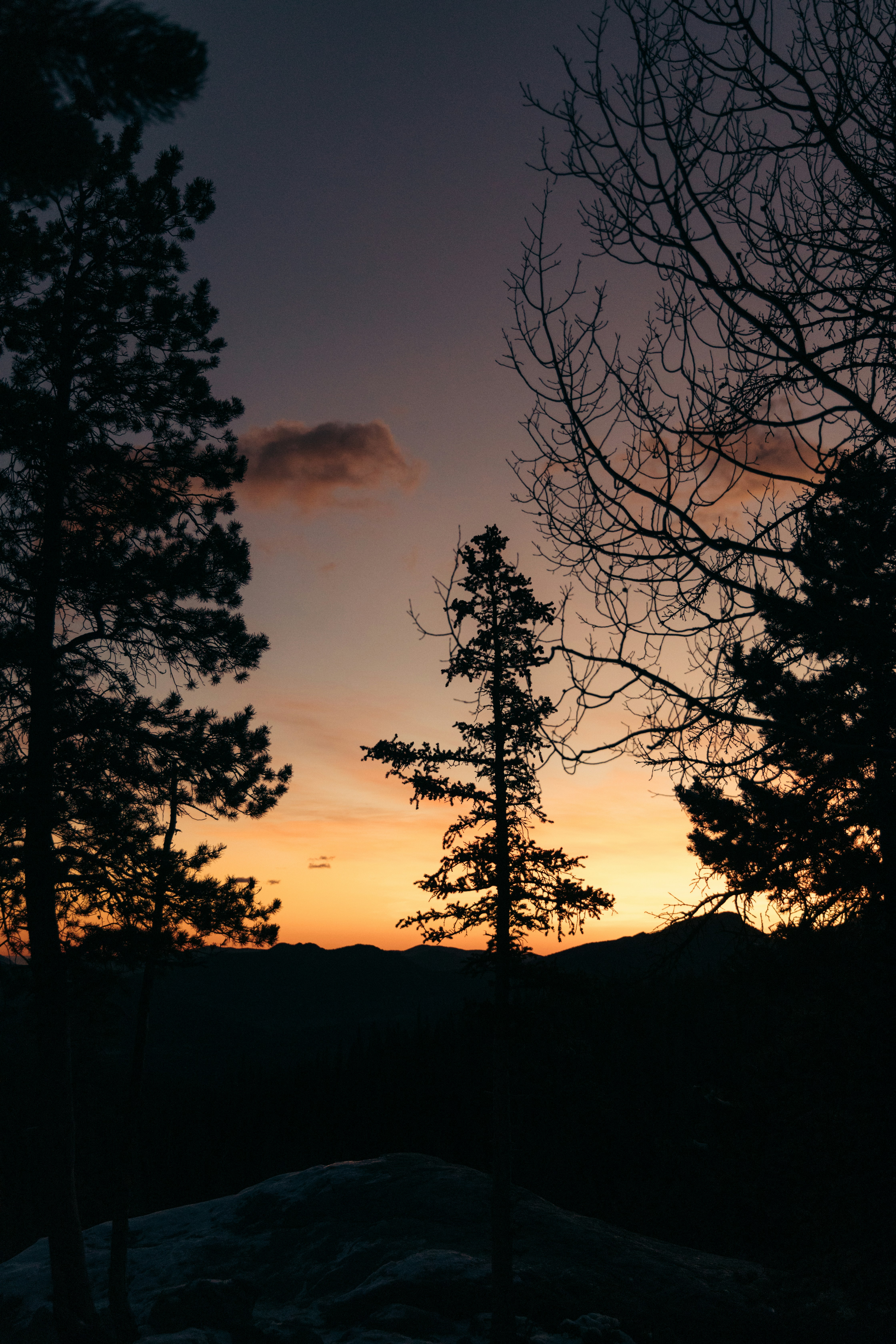 Photo by ldpeterson11