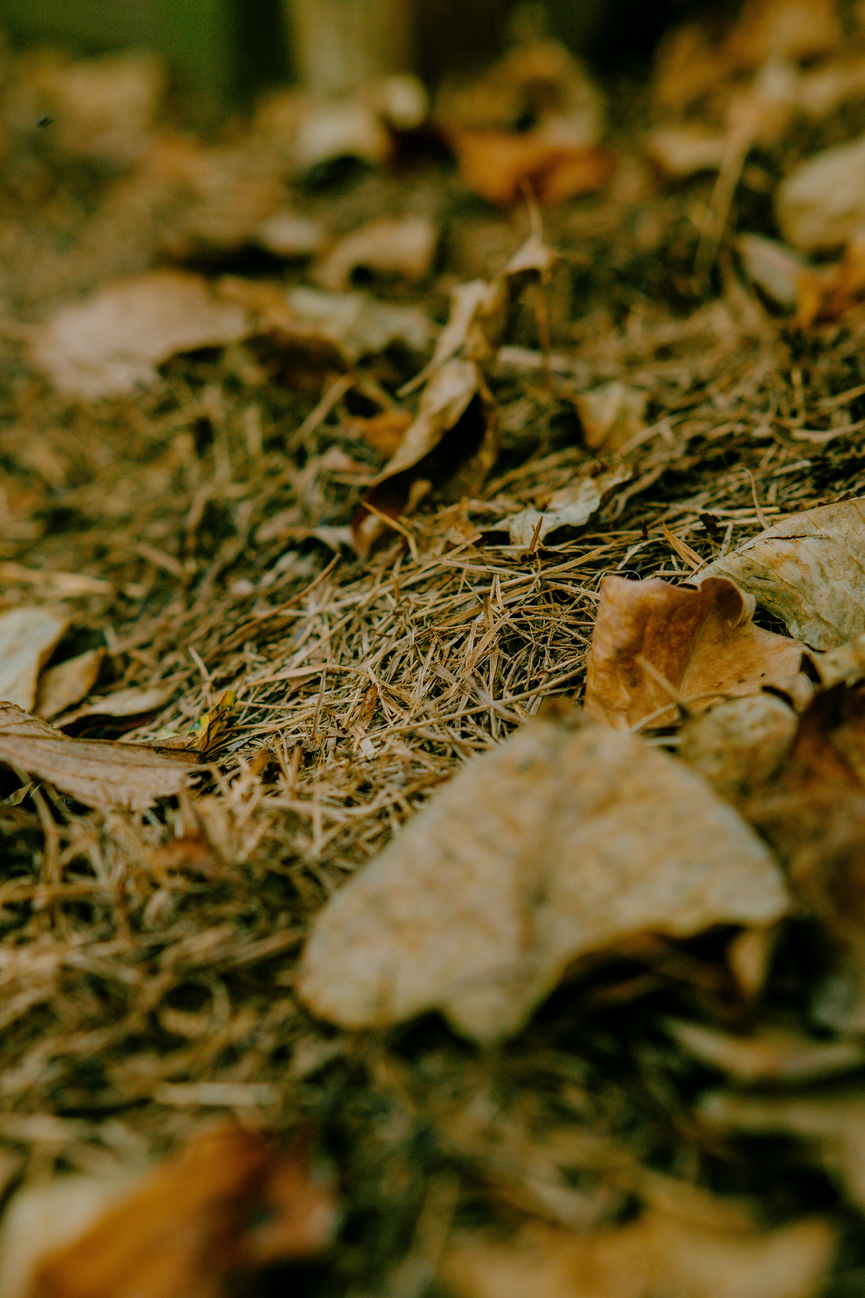 Photo by joseph_royer