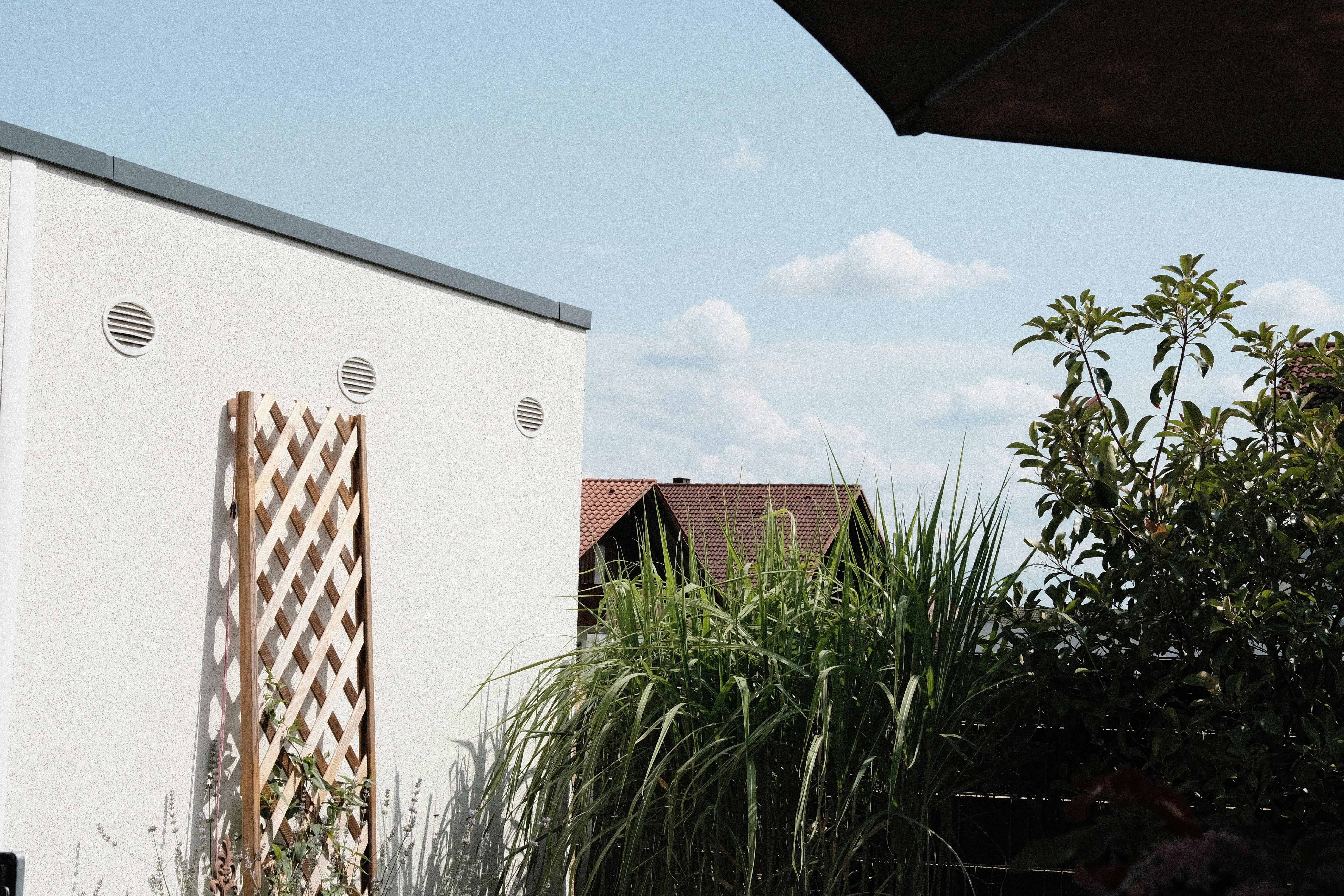 Photo by jacobmitani12