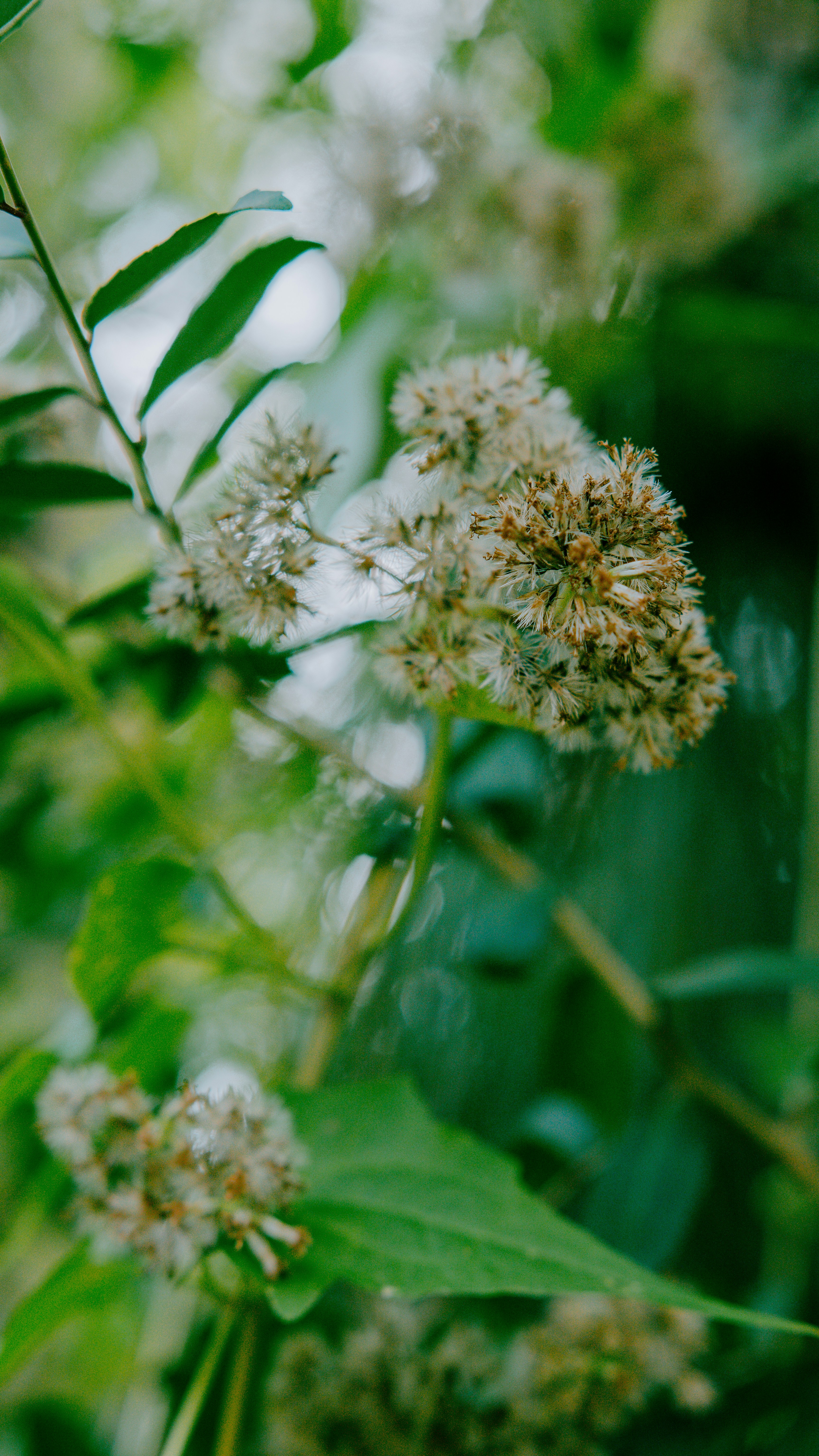 Photo by joseph_royer