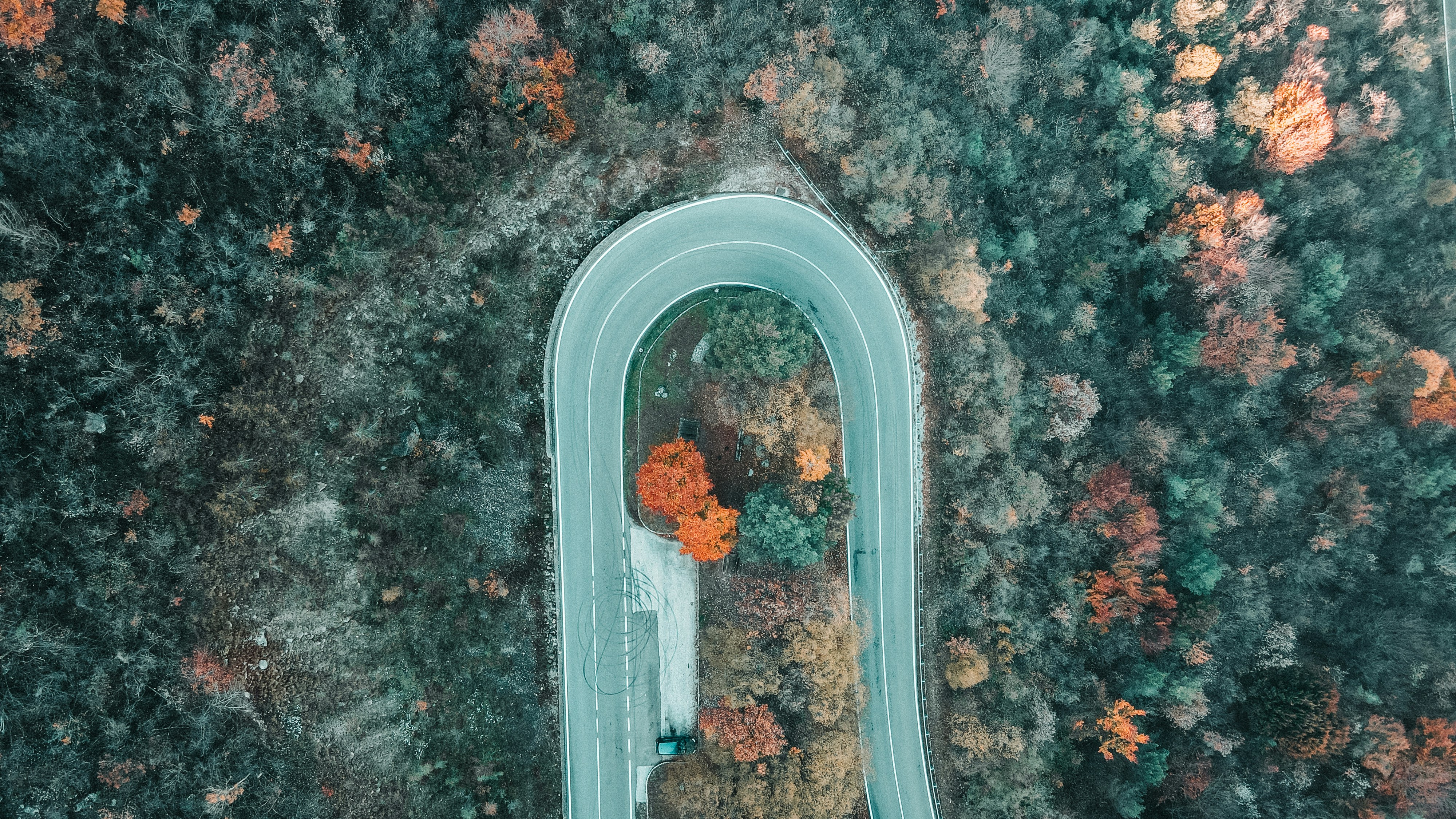 An aerial view of a road in the woods