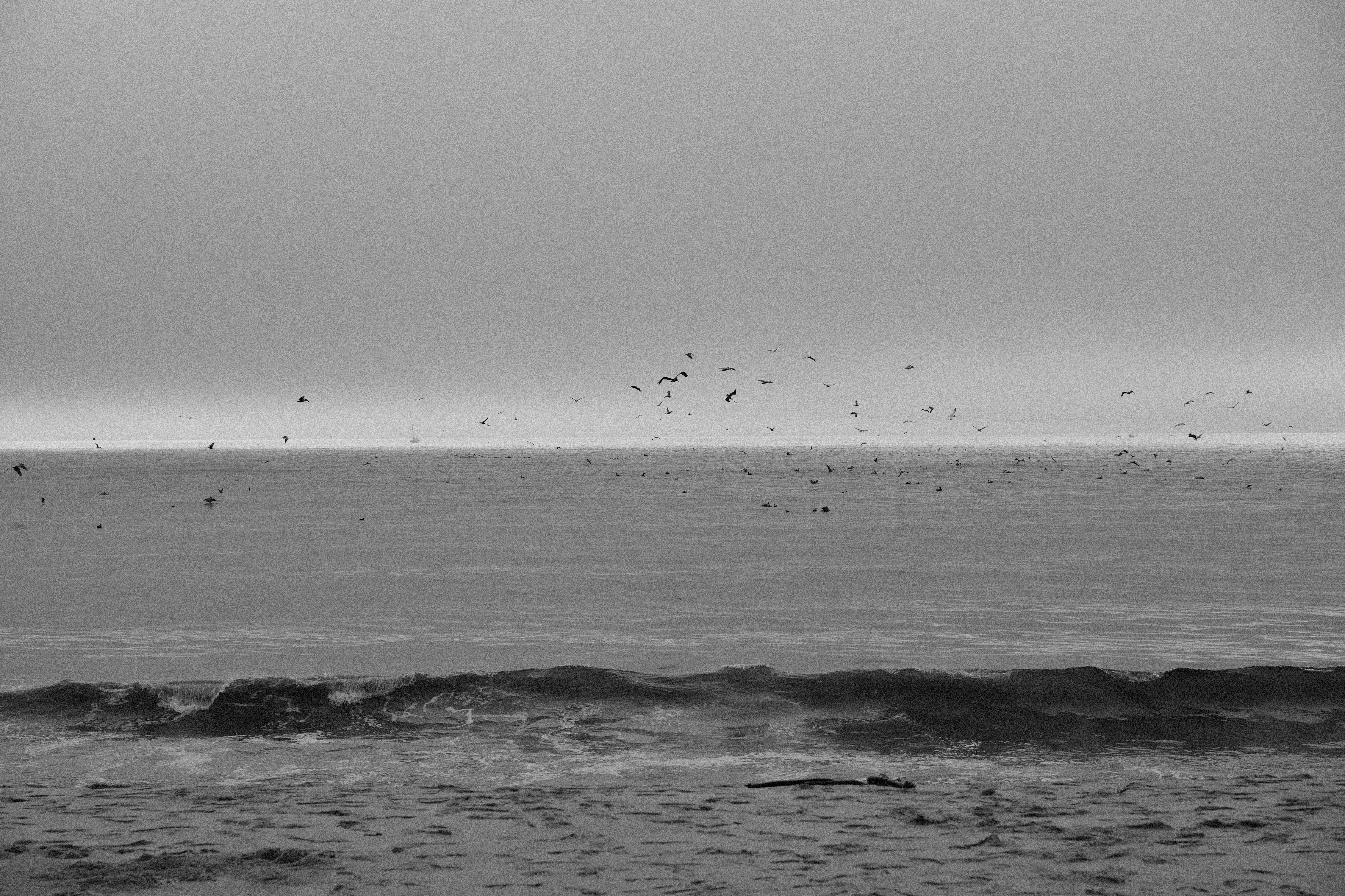 Photo by jacobmitani12