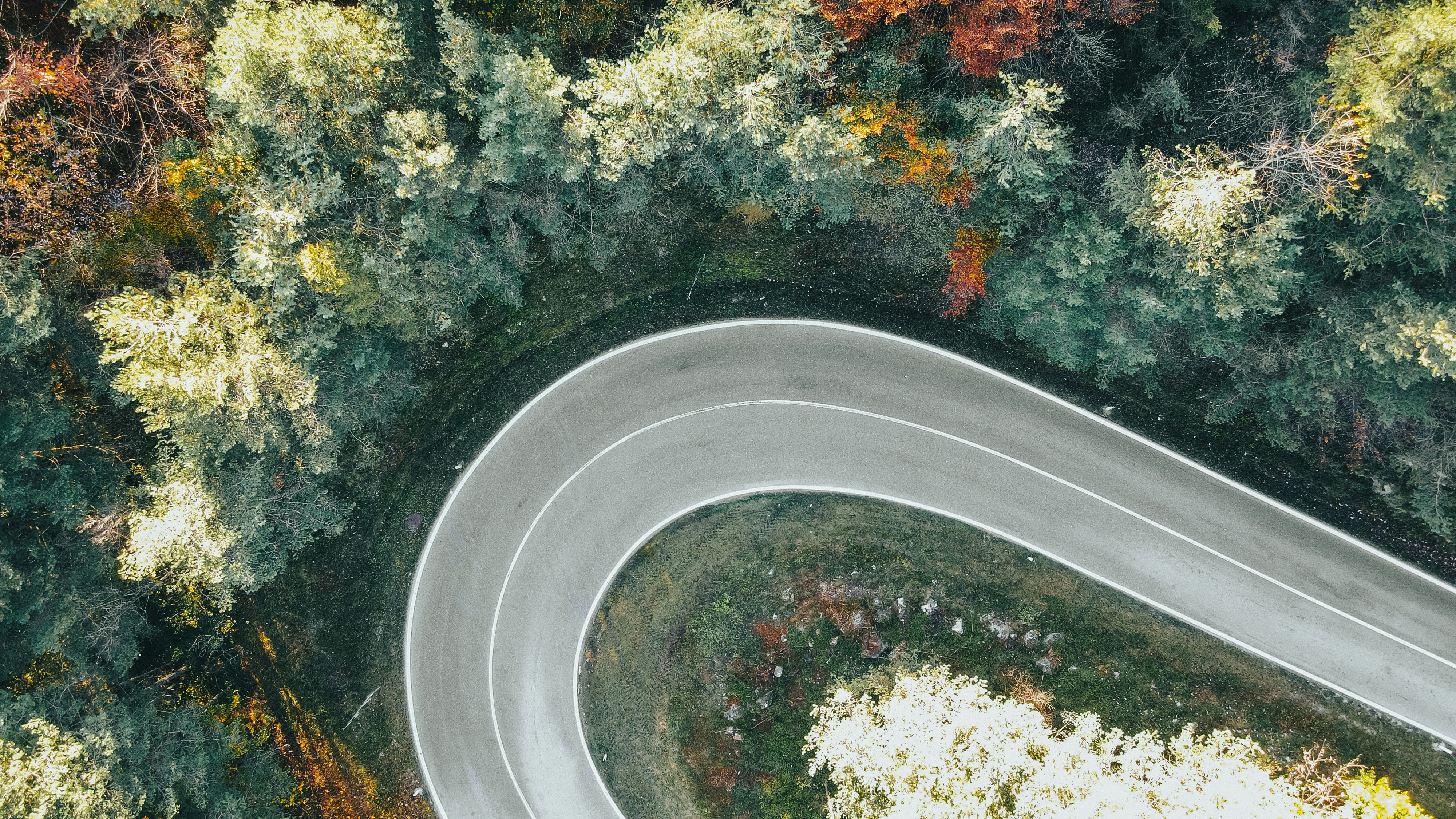 An aerial view of a winding road surrounded by trees