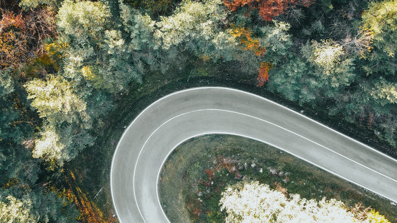 Aerial view of a winding road through a forest