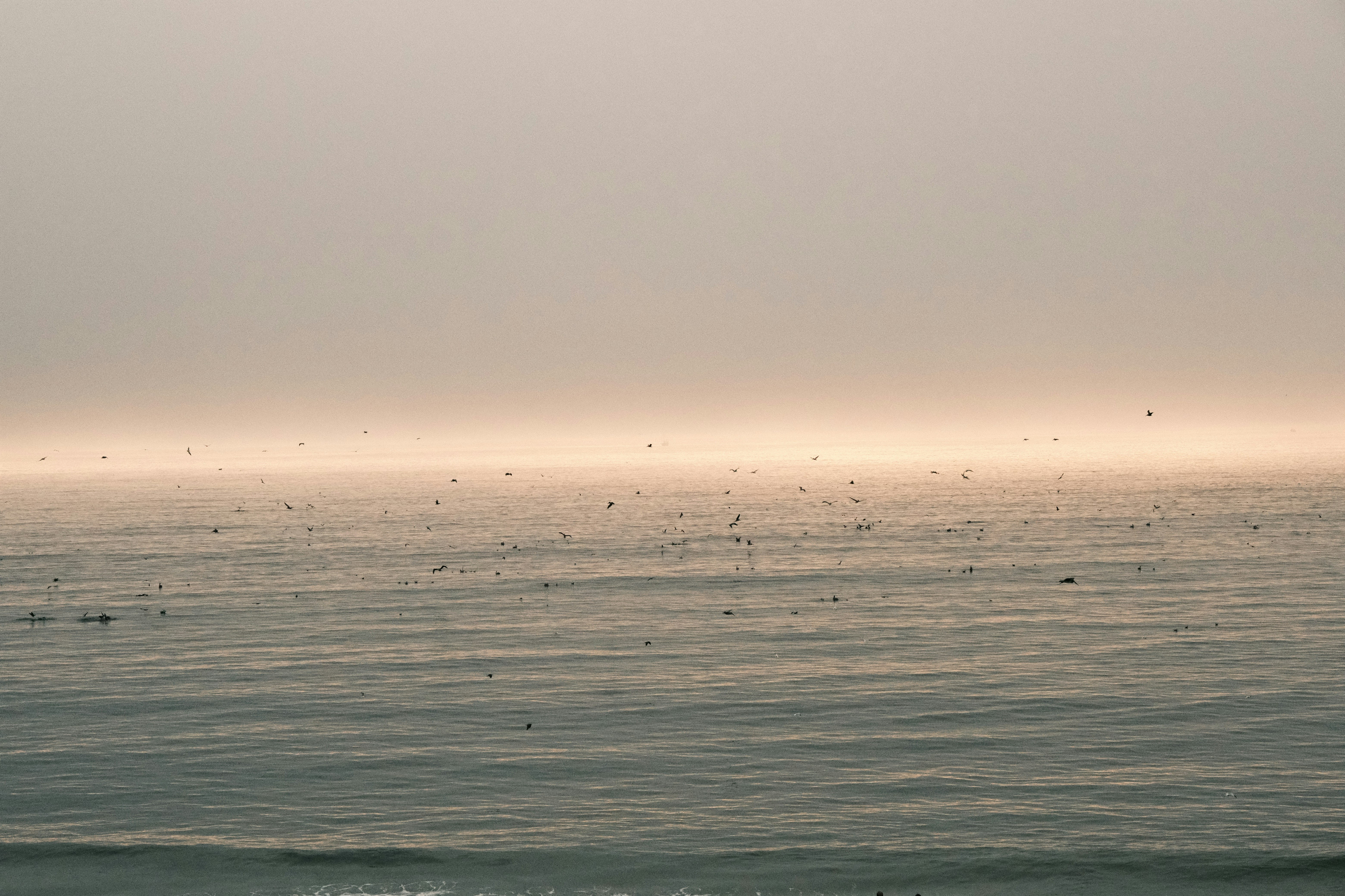 Photo by jacobmitani12