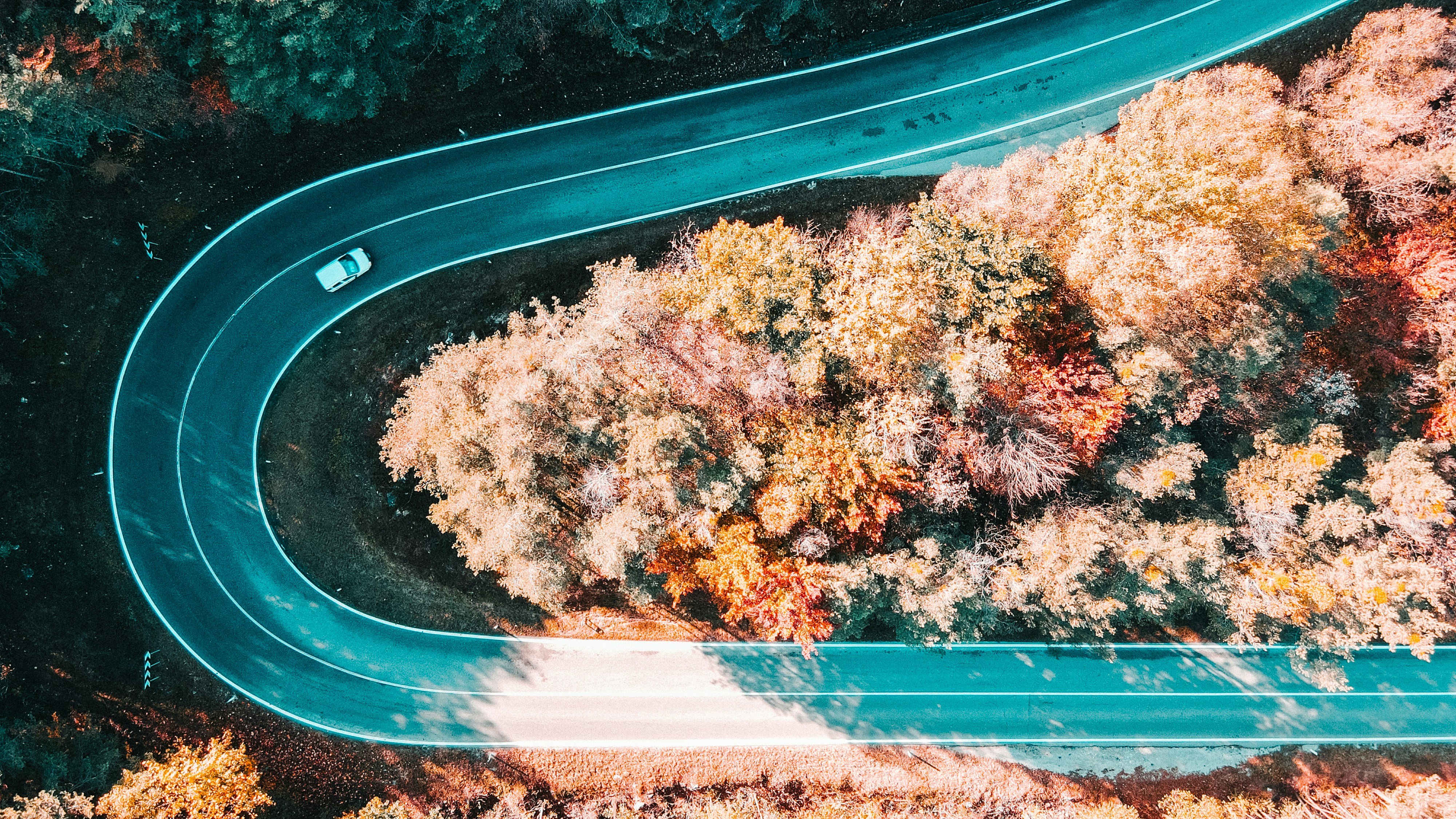 An aerial view of a winding road surrounded by trees