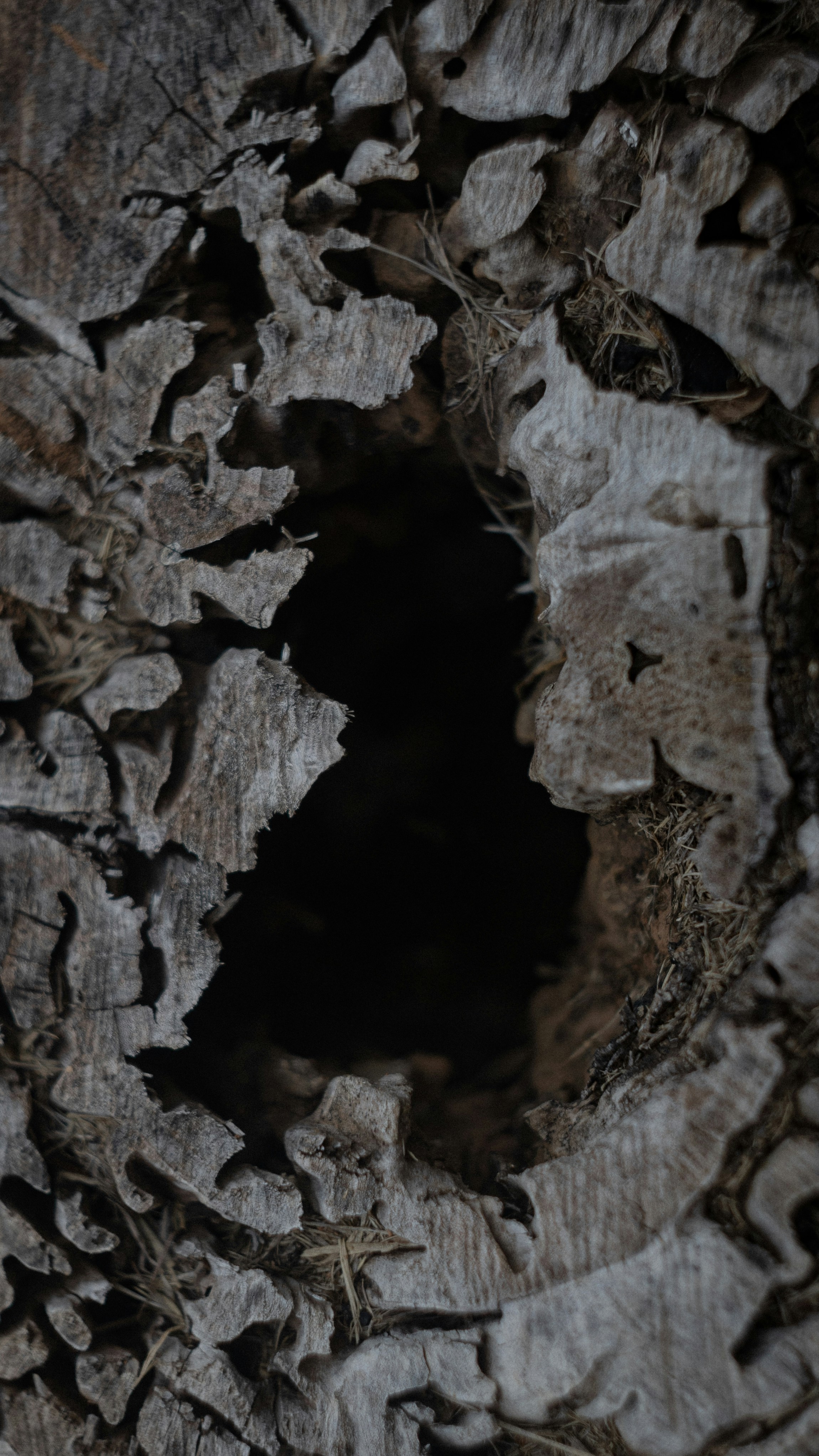 Photo by lucasdalamartaphoto