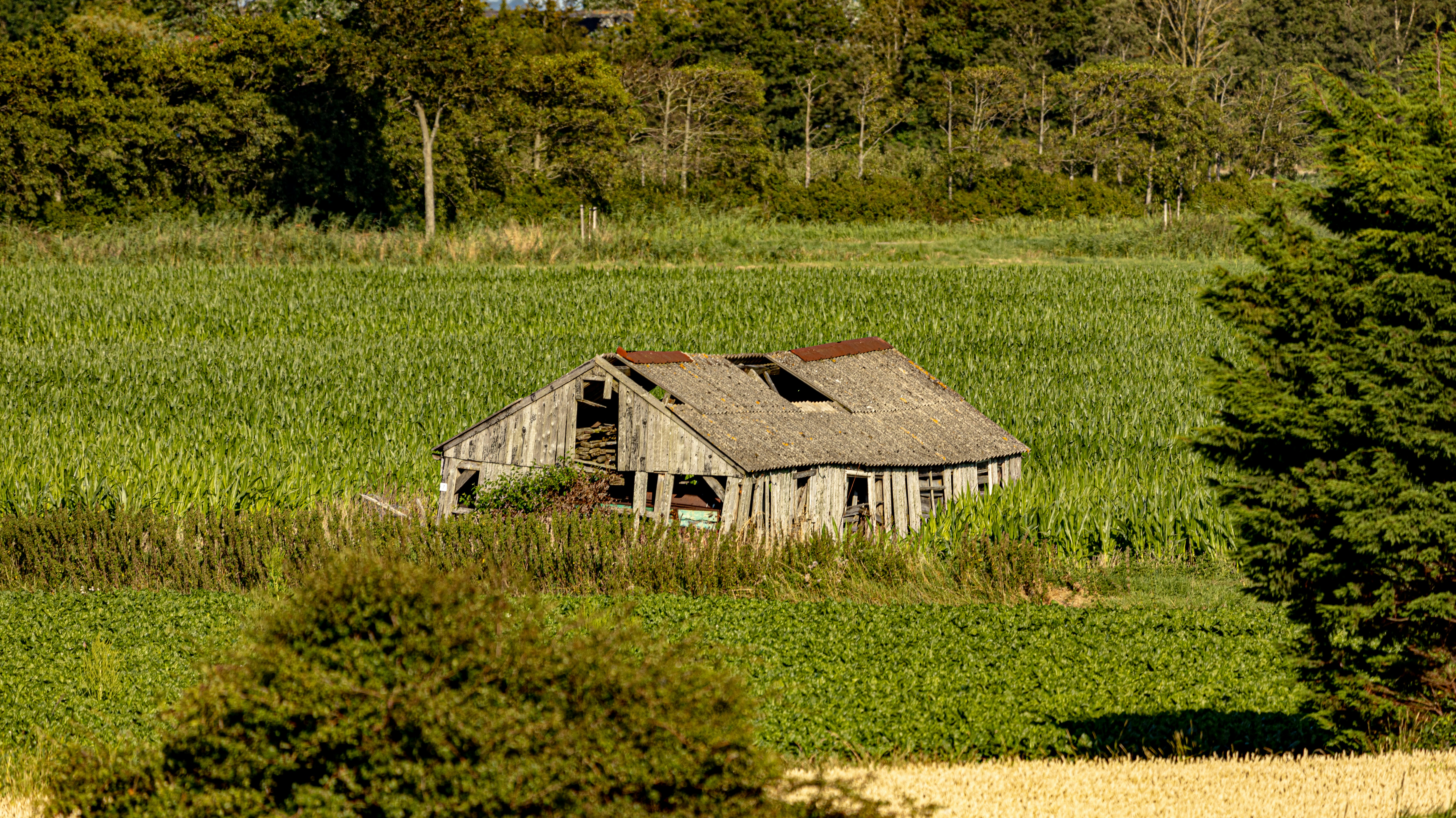 Hacienda Gluten Free Menu