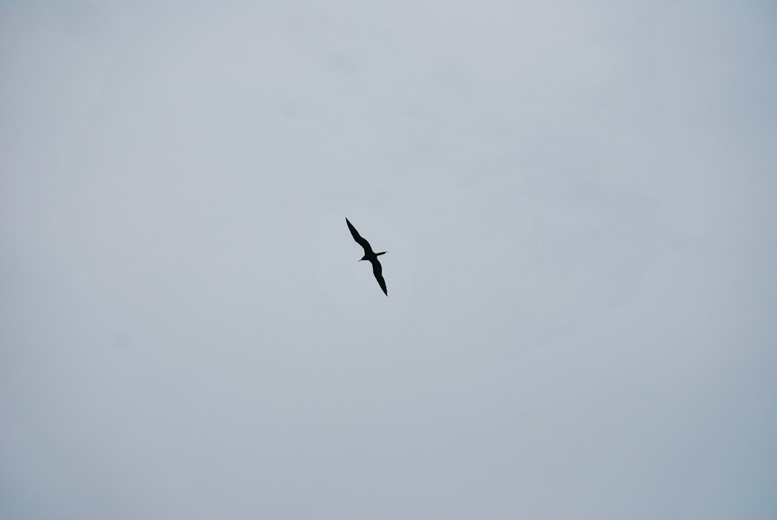 Venezuela Beaches & Nature